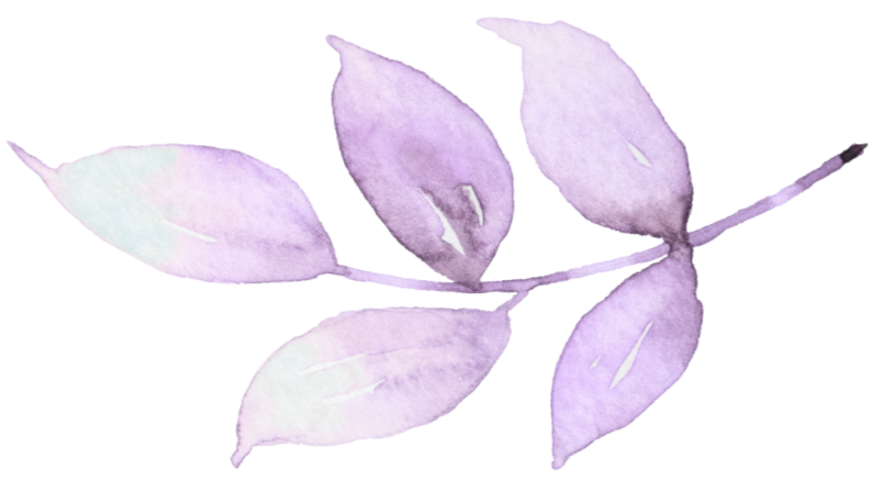 Trauma therapy in Colorado - botanical graphic