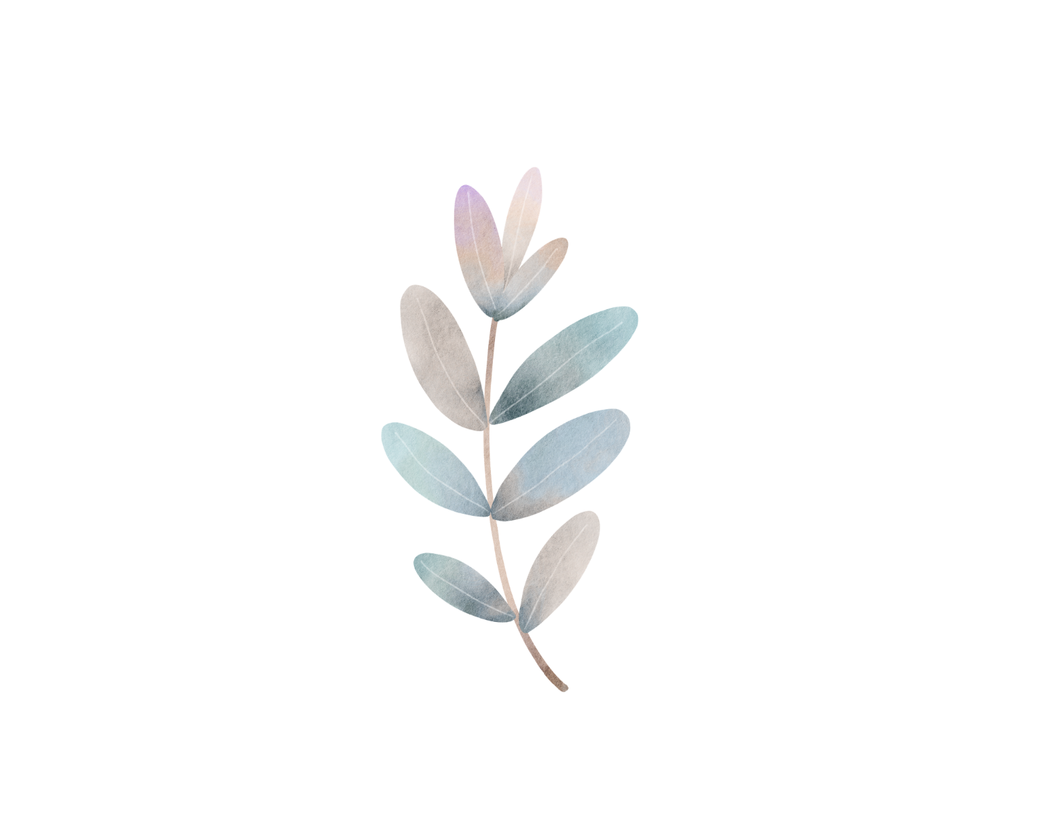 Play therapy - botanical accent graphic