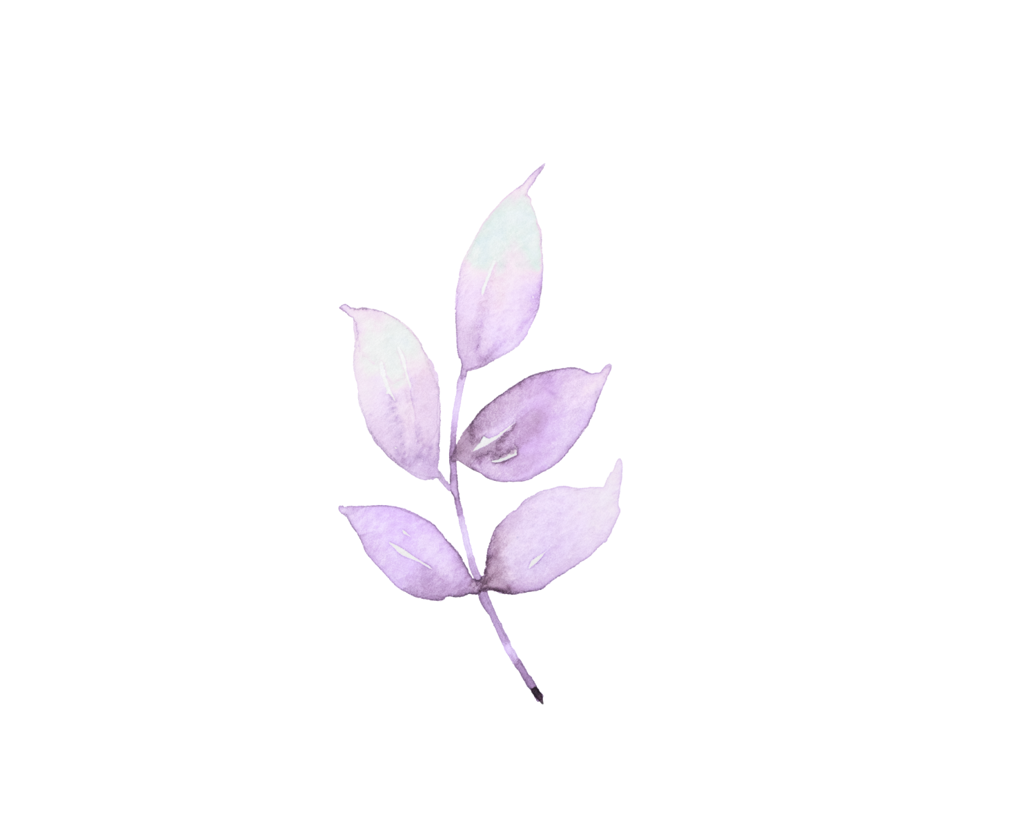 Trauma therapy - botanical accent graphic