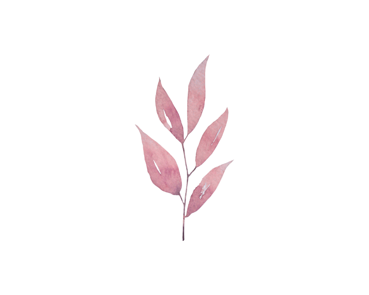 Addiction & eating disorder counseling - botanical accent graphic