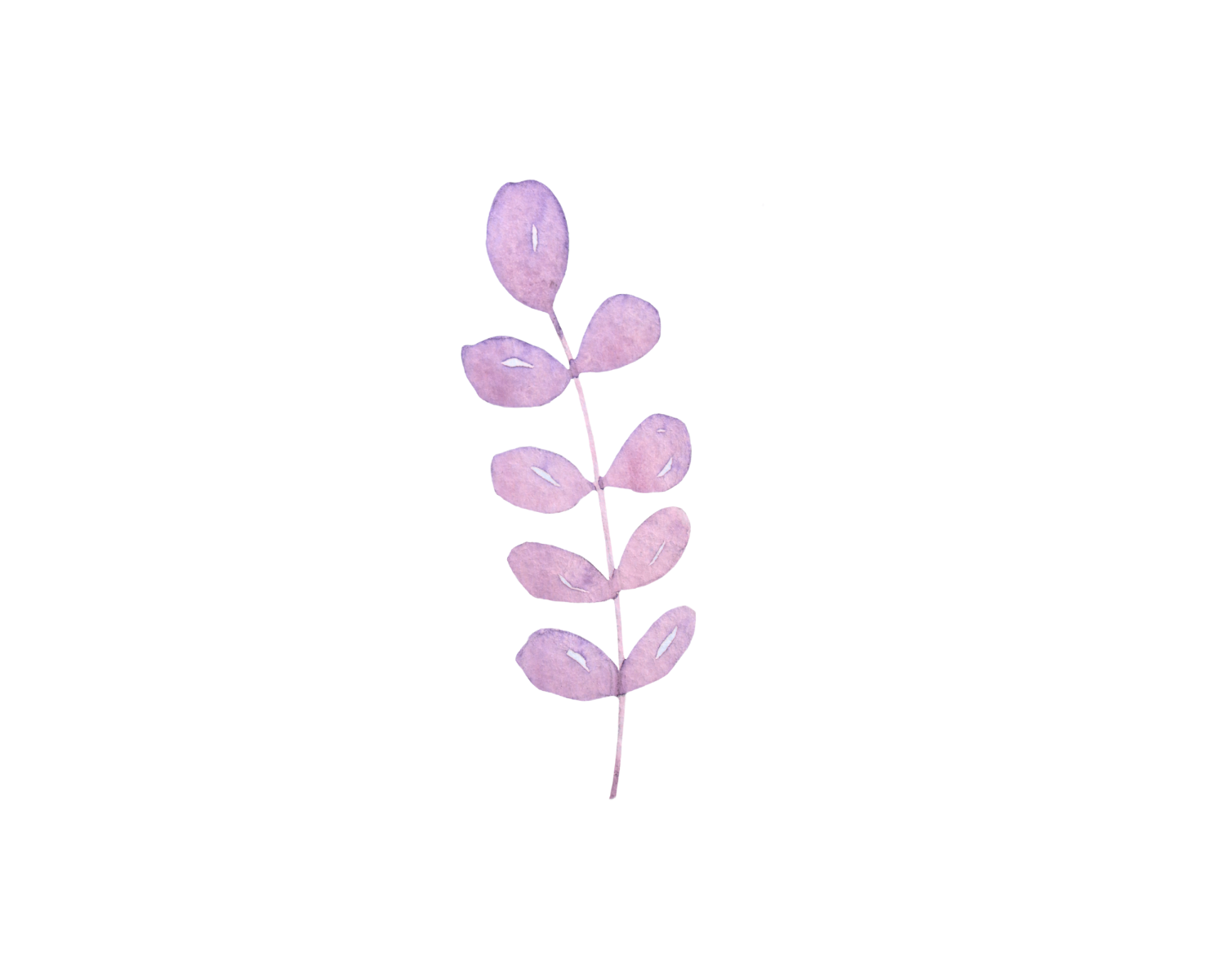 Trauma-Informed Trainings