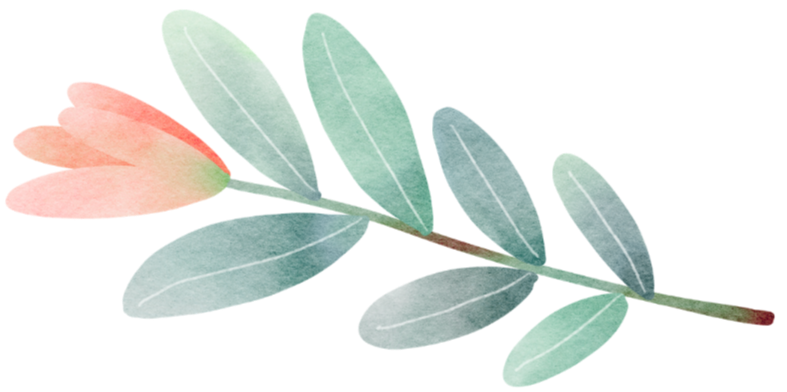 Somatic therapy in Colorado - botanical graphic