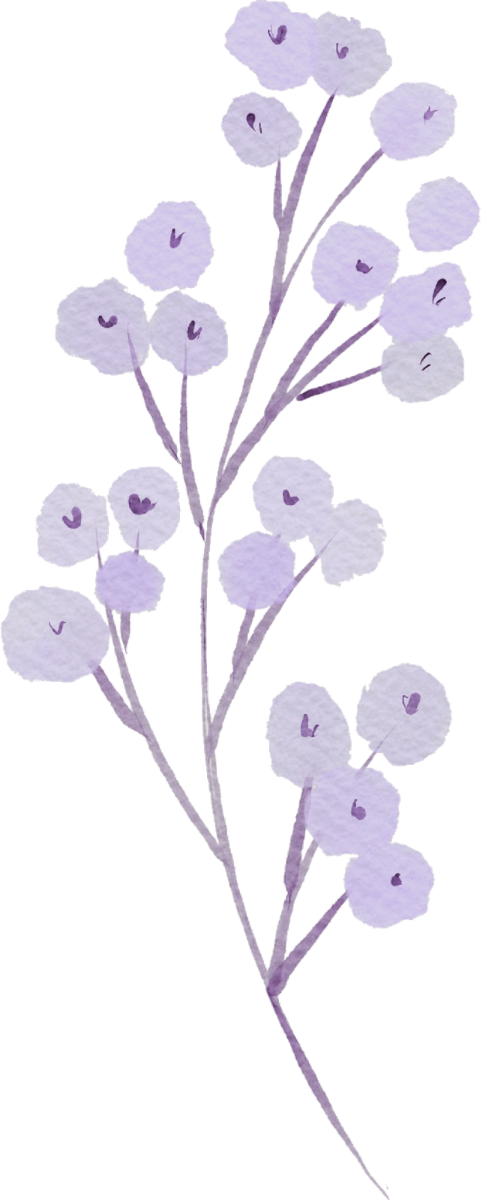 Somatic therapy in Colorado - botanical graphic