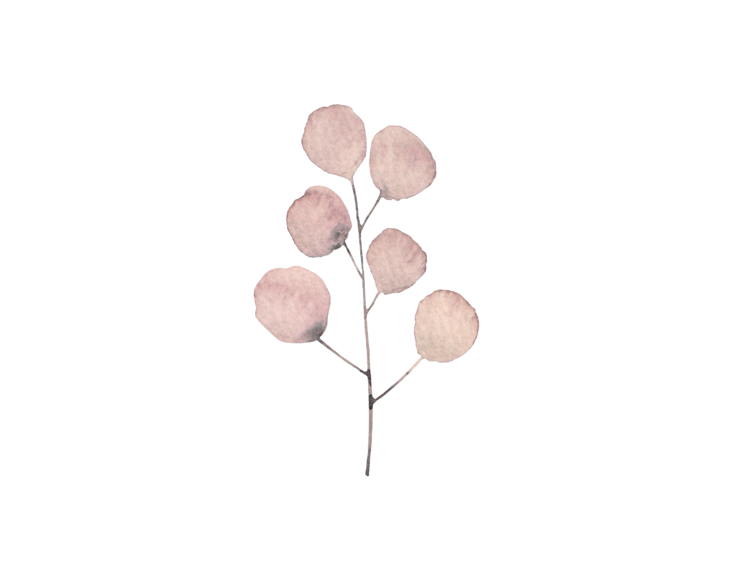 Brainspotting - botanical graphic