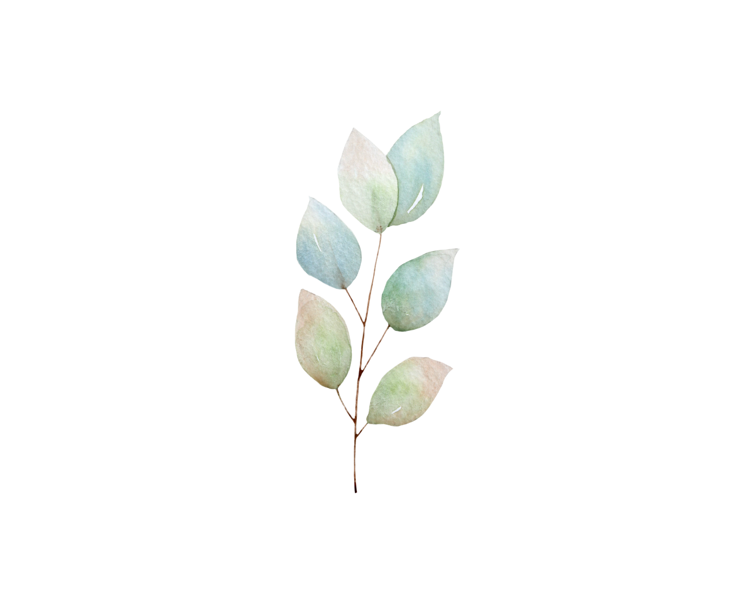 Christian counseling - botanical accent graphic