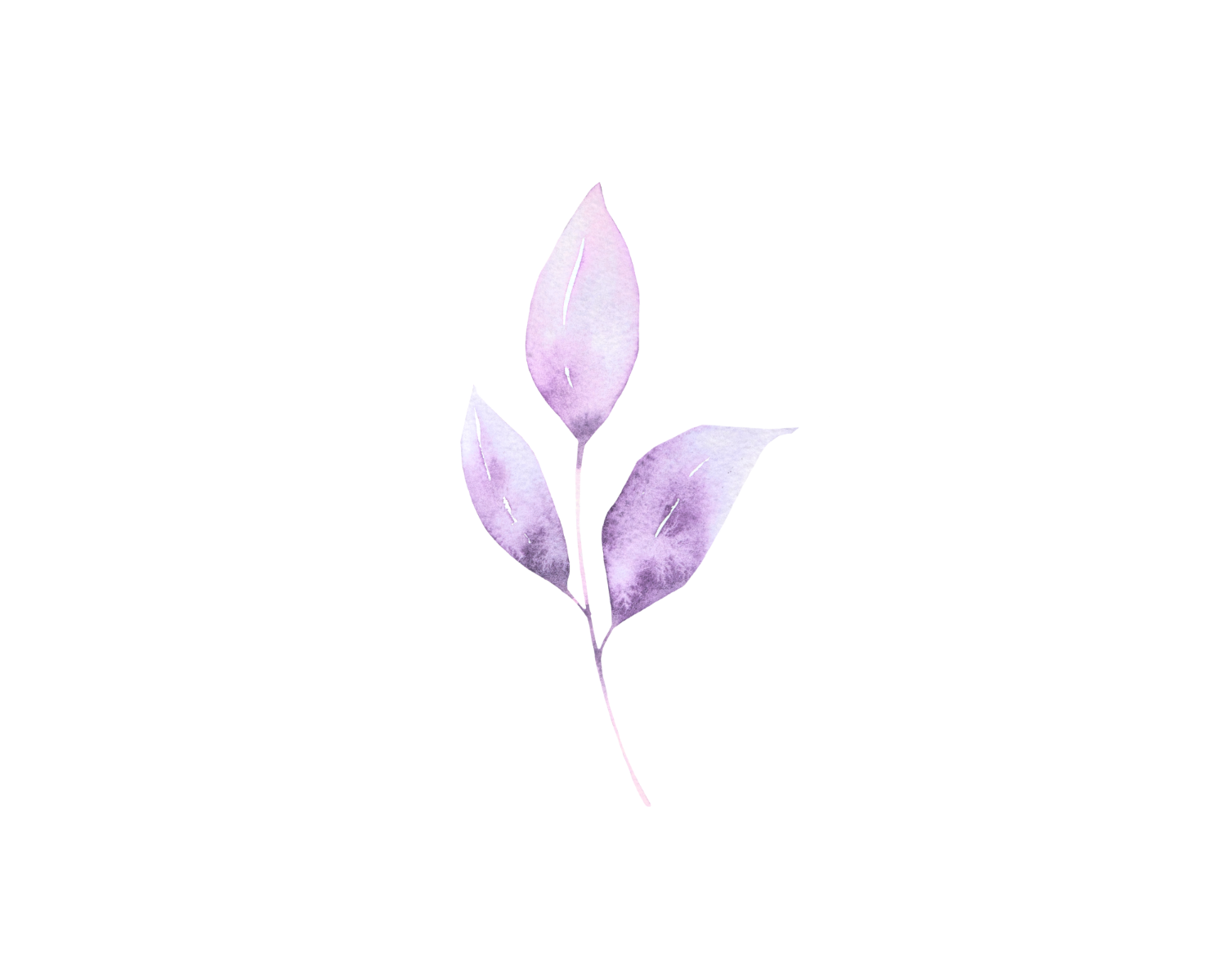 Internship Opportunities