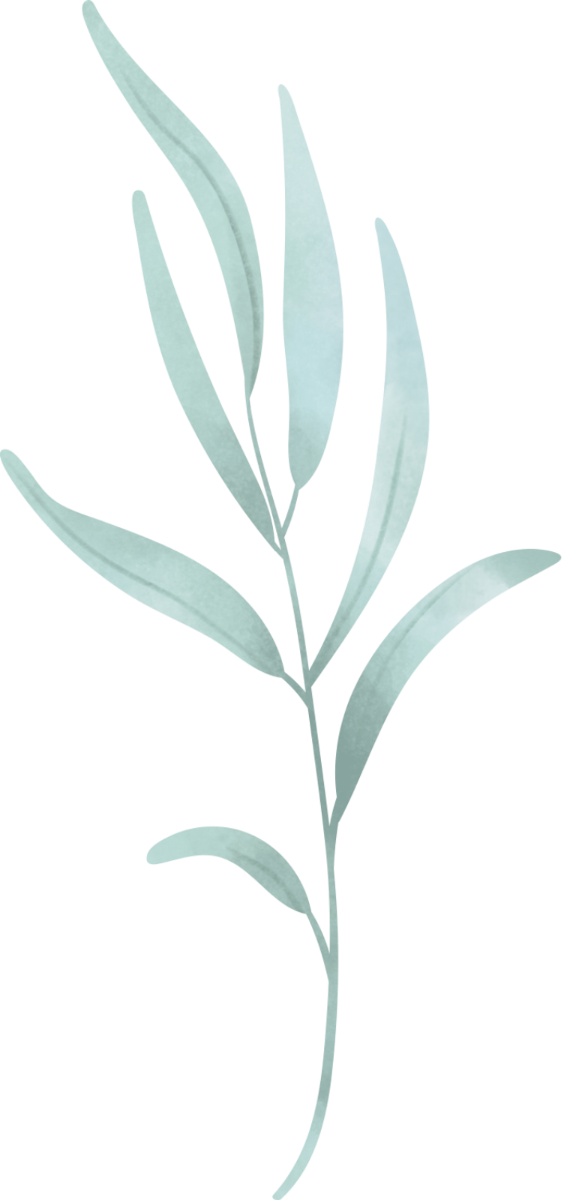 Addiction & Eating Disorder Counseling in Colorado - botanical graphic