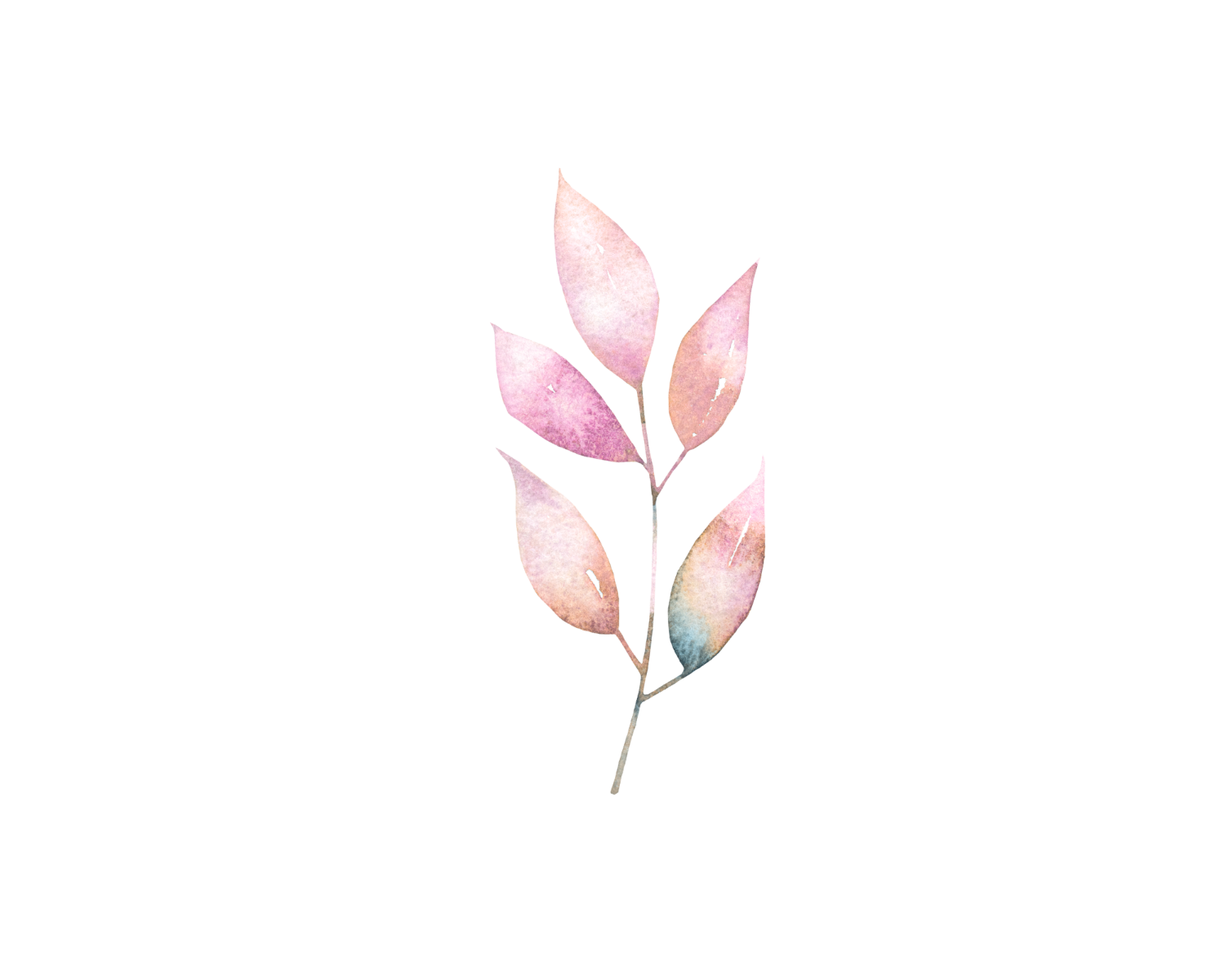 Trauma-Focused Cognitive Behavioral Therapy - botanical graphic