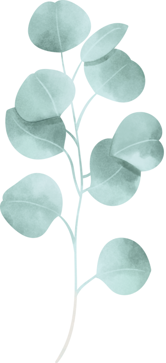 Christian Counseling in Colorado - botanical graphic