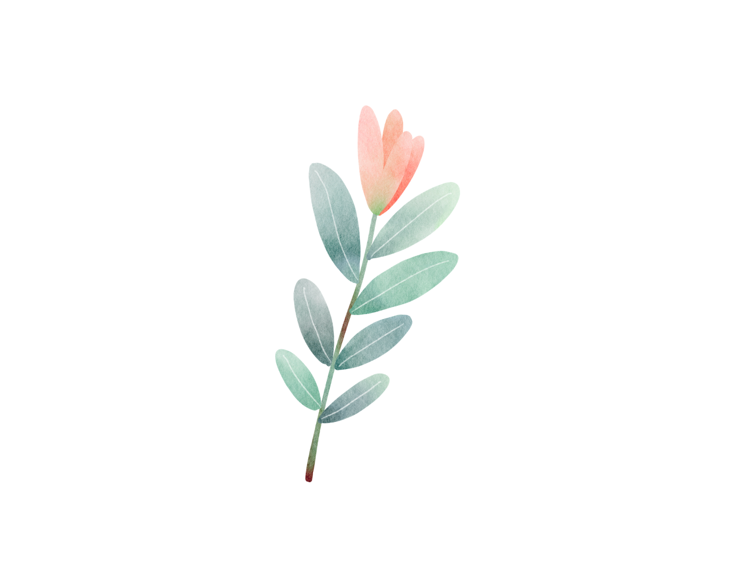 Somatic therapy - botanical accent graphic