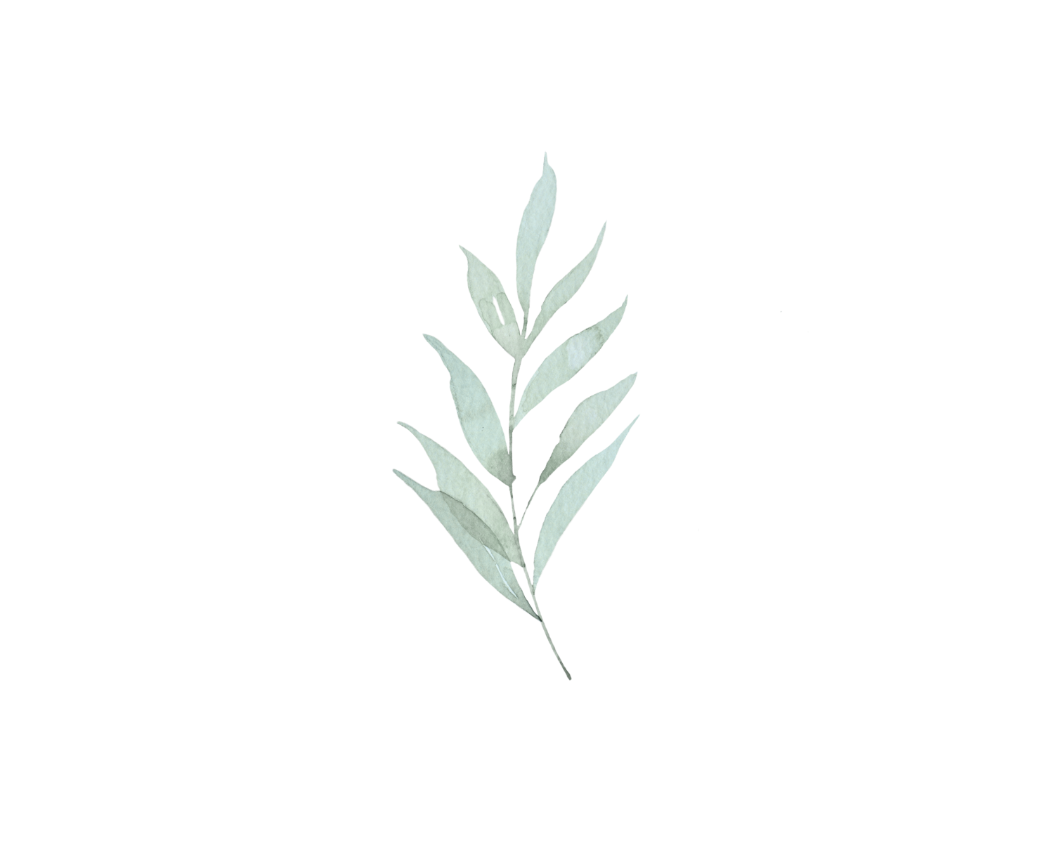 Clinical Supervision