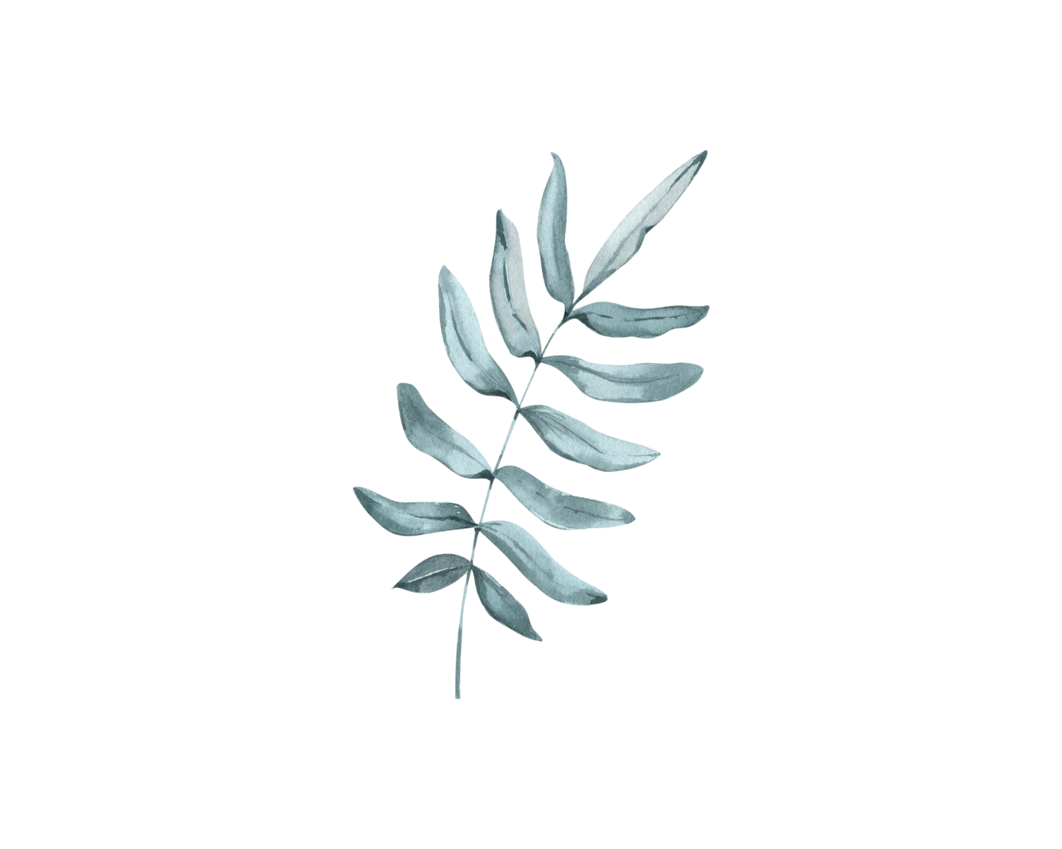 Meet our therapy team - botanical graphic