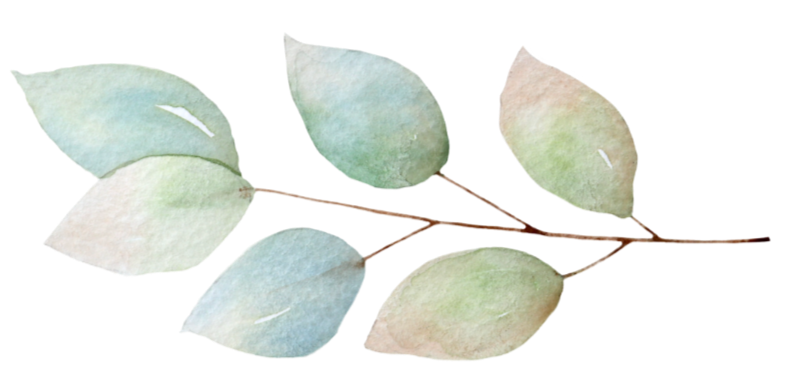 Christian Counseling in Colorado - botanical graphic