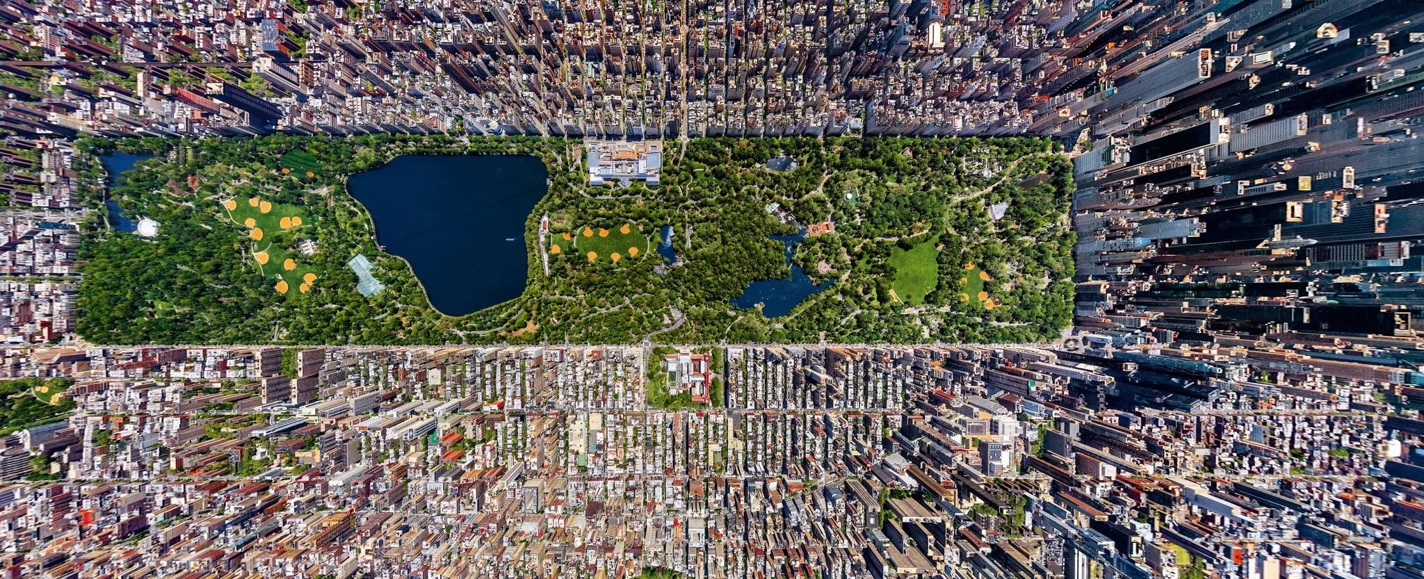 Cover image for The Great Lawn, a farewell to New York City written during the first months of COVID