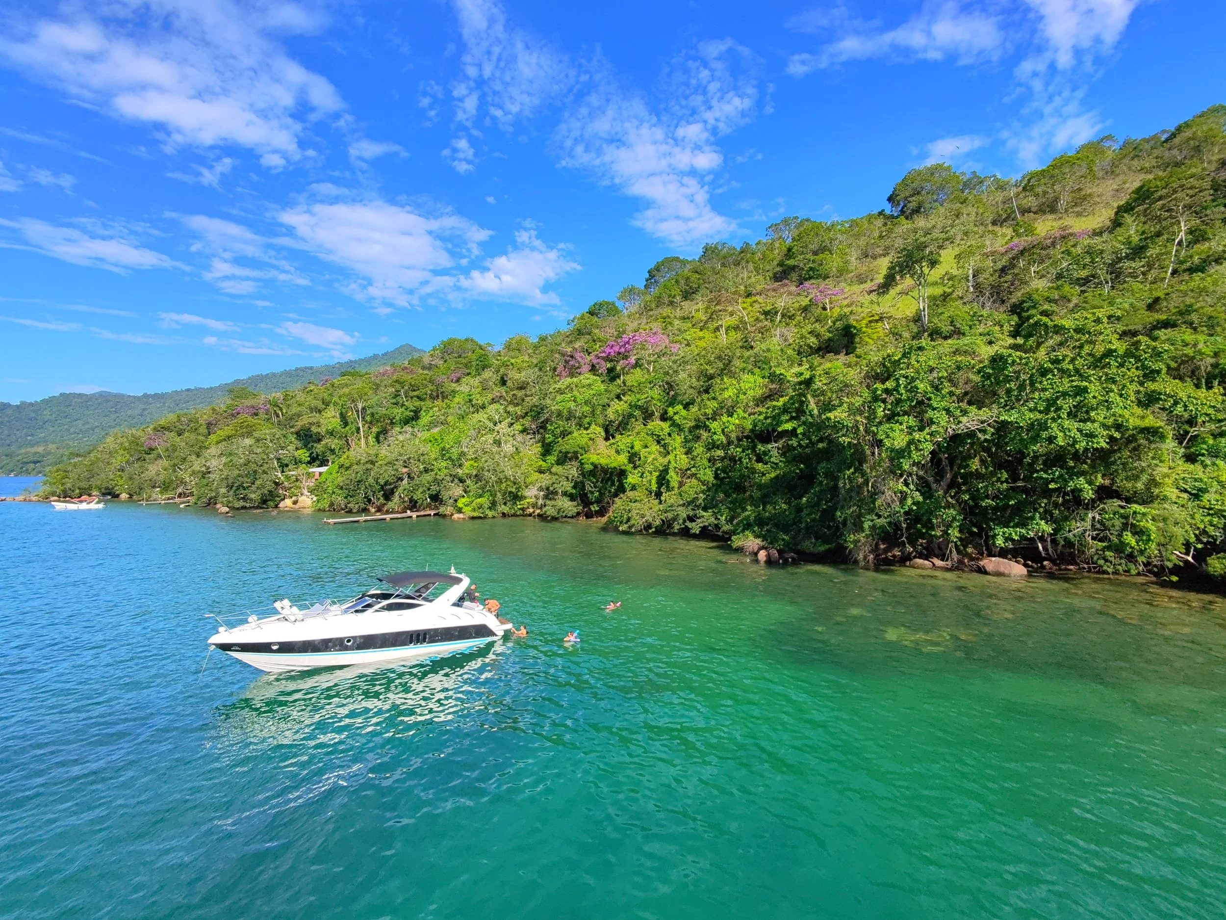 A scenic view of a blue sky with scattered clouds, a green hillside covered with trees and some purple flowering trees, and a body of water with a white yacht and people swimming.