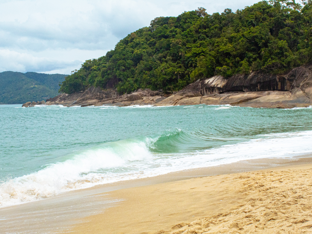A sandy beach with gentle waves and a forested hillside in the background on a cloudy day.