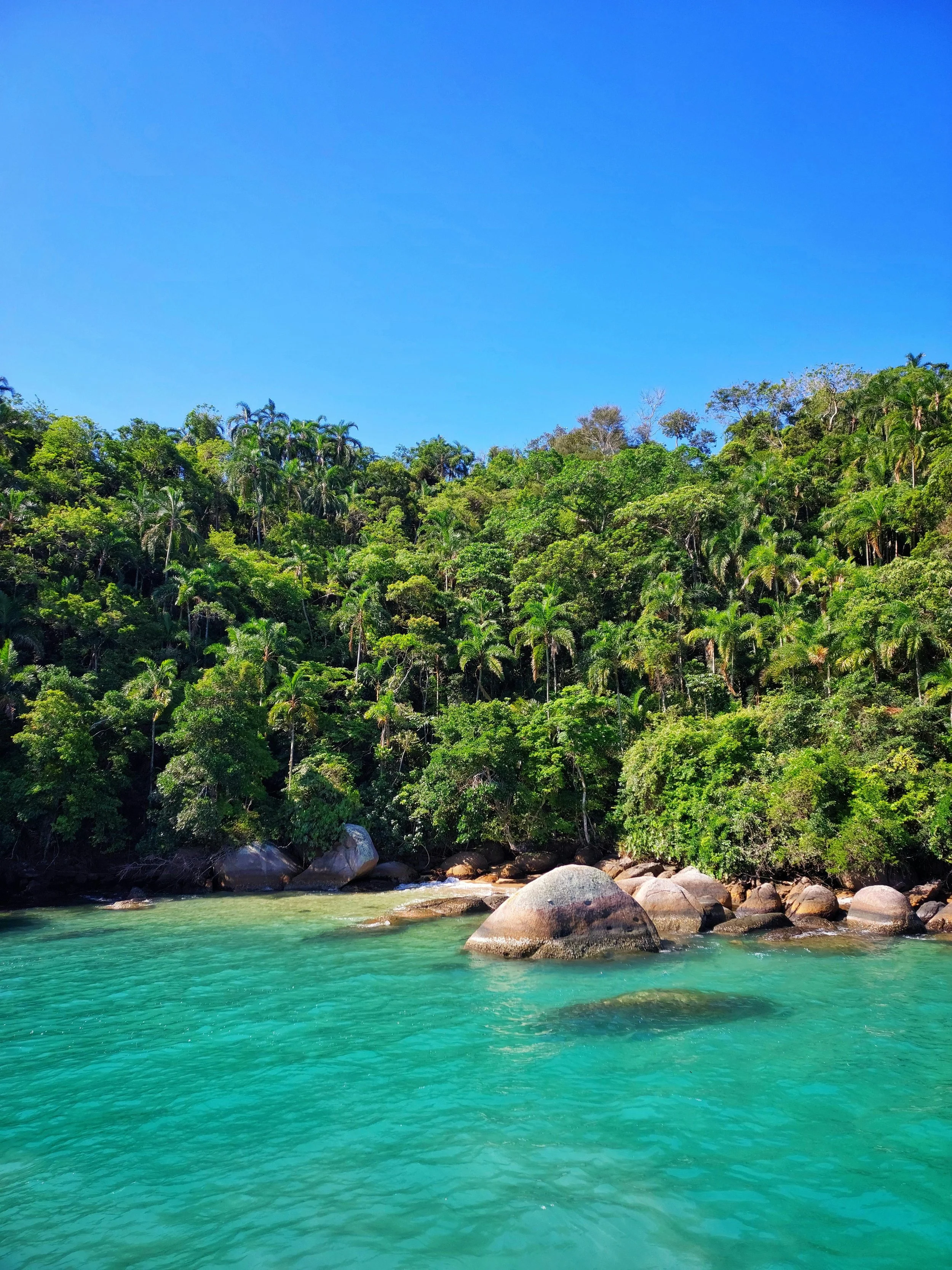 Tropical forest meeting a clear turquoise river with large rocks in the foreground and dense green trees against a bright blue sky.