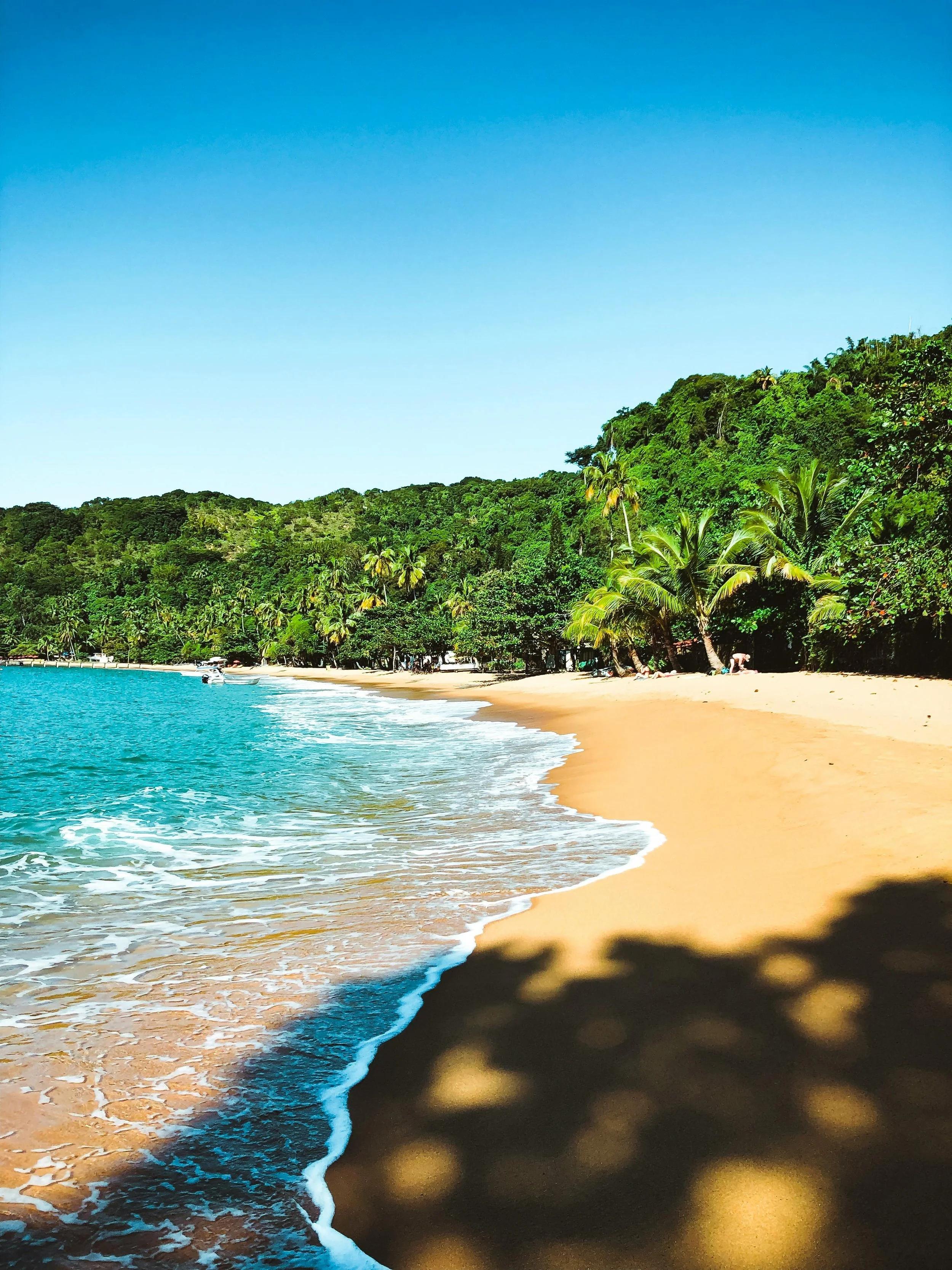 A tropical beach with golden sand, turquoise water, and a lush green hillside with palm trees under a clear blue sky.