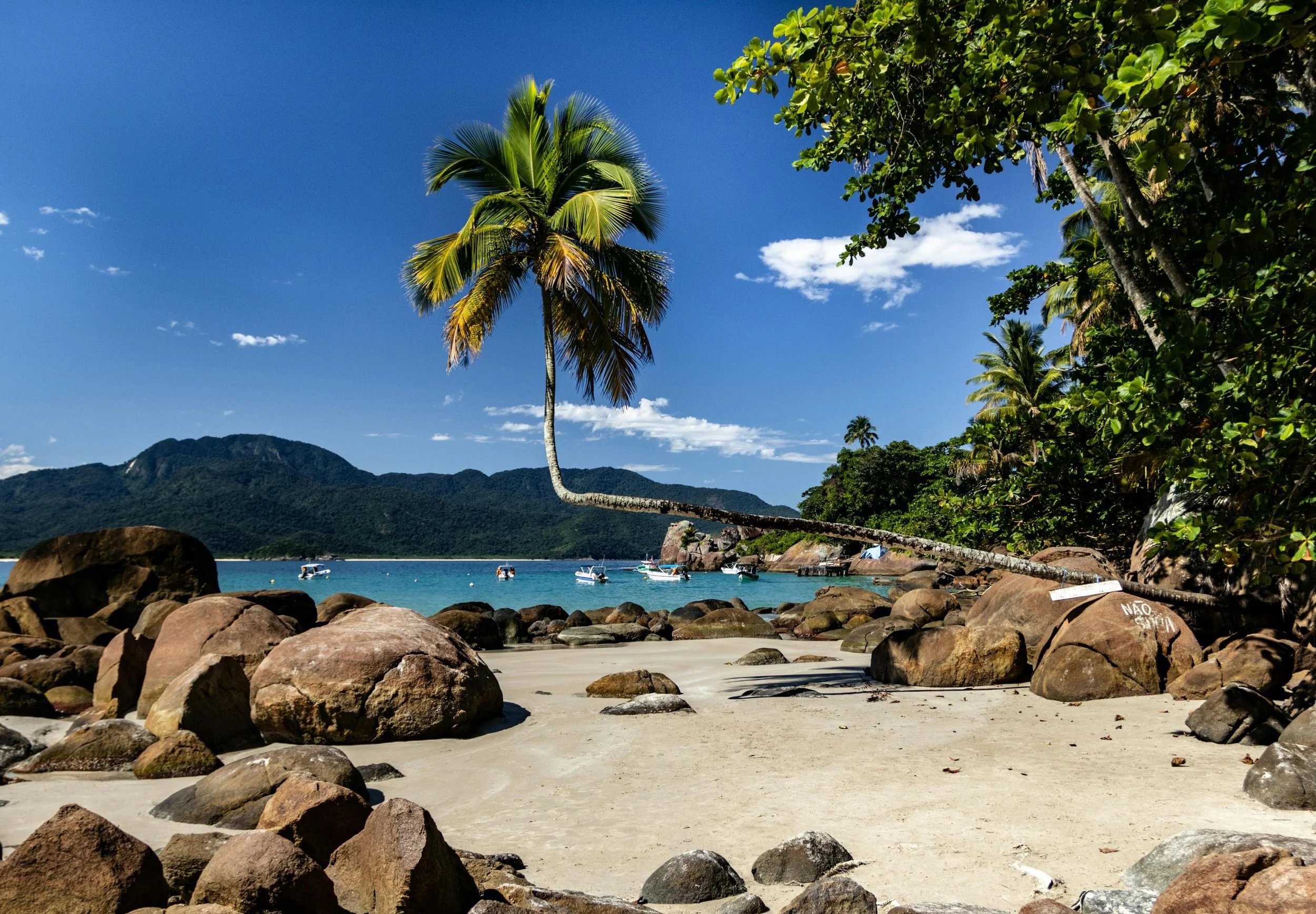A tropical beach scene with large rocks on the sandy shore, a tall palm tree leaning slightly, green foliage on the right, small boats floating on the water, mountains in the background, and a clear blue sky with some scattered clouds.
