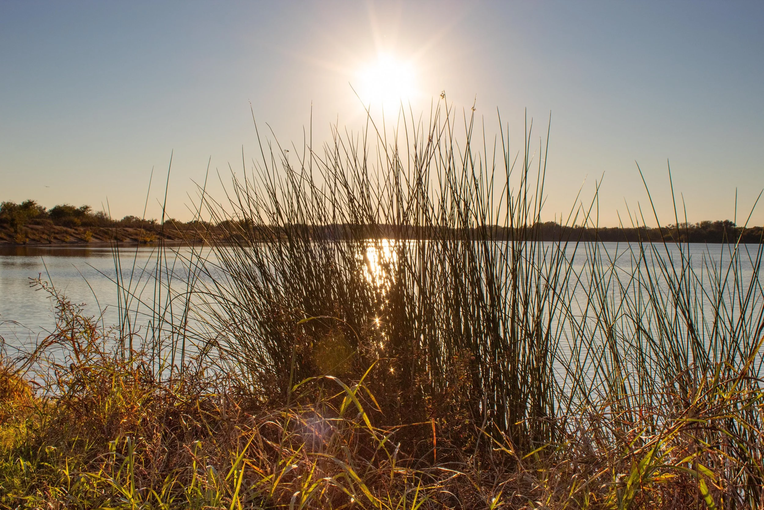 Texas Sun
