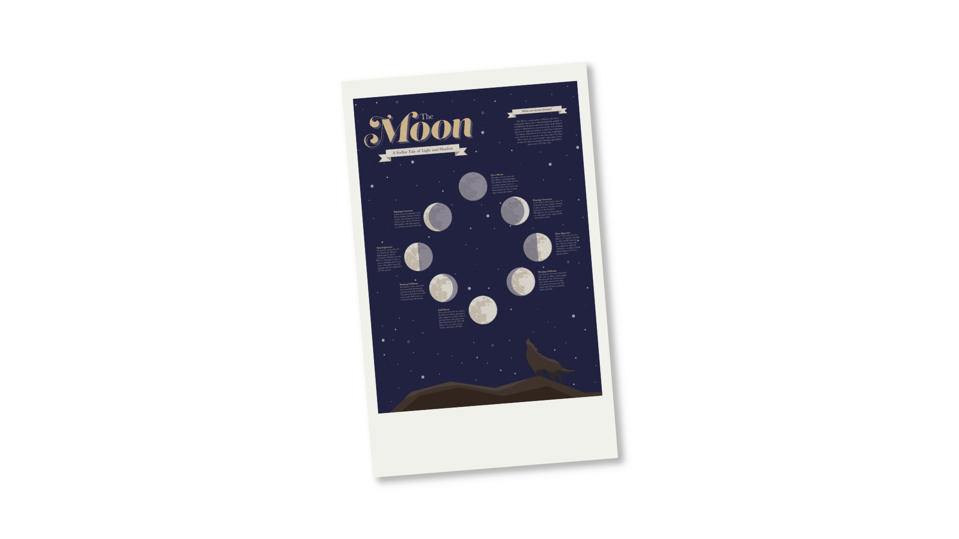 Moon Infographic Poster