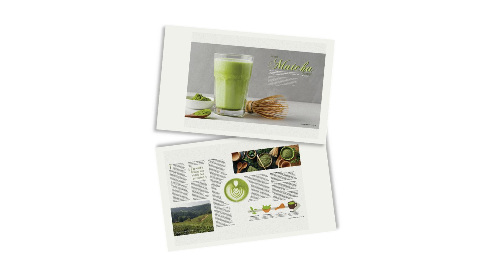 Matcha Shortage Editorial