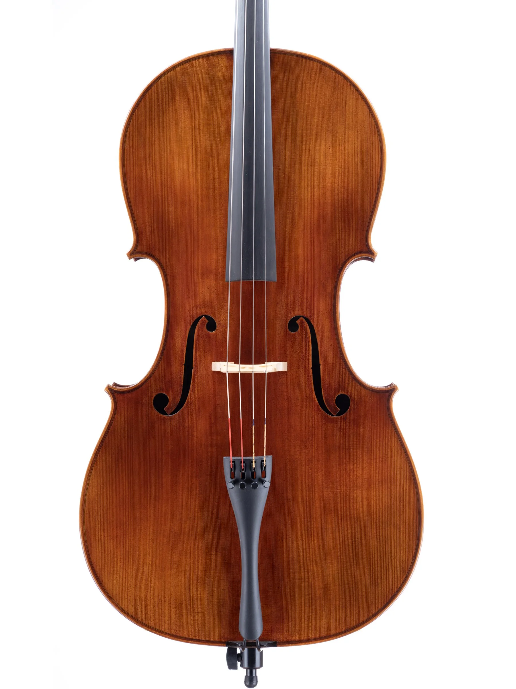 Snow SC400 Cello