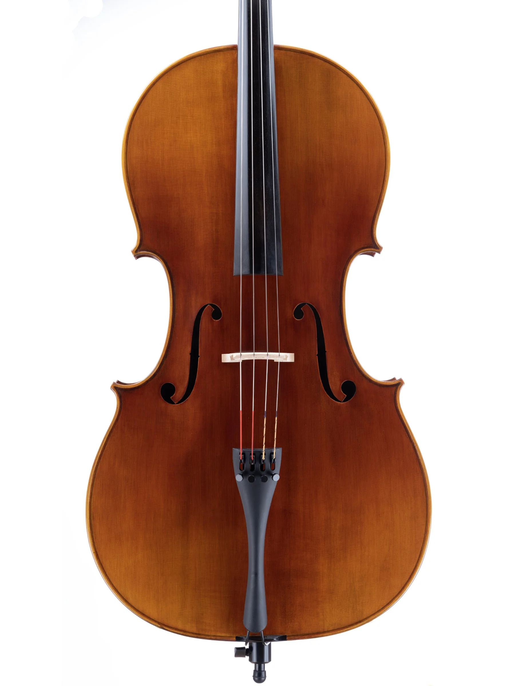 Snow SC200 Cello