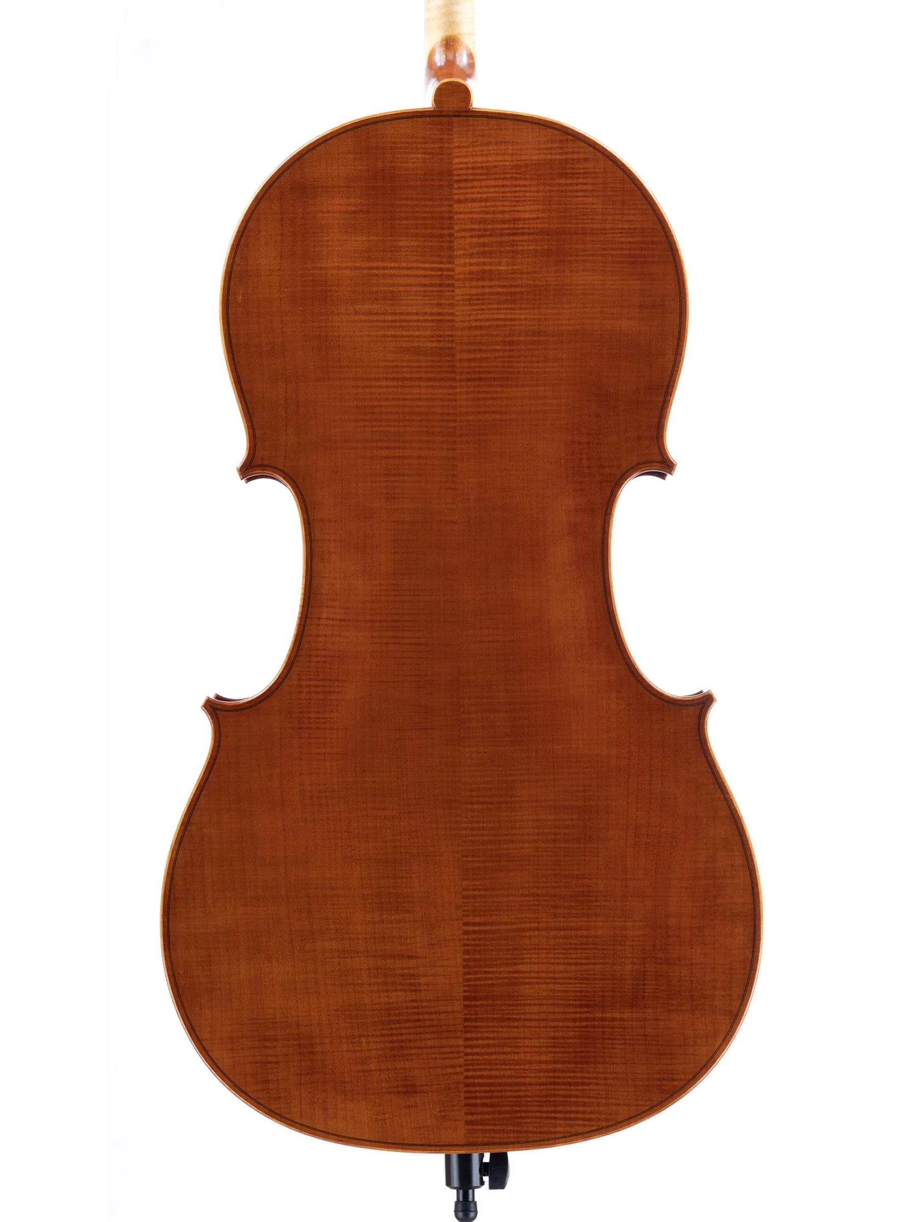 JHS-Cello__back.jpg