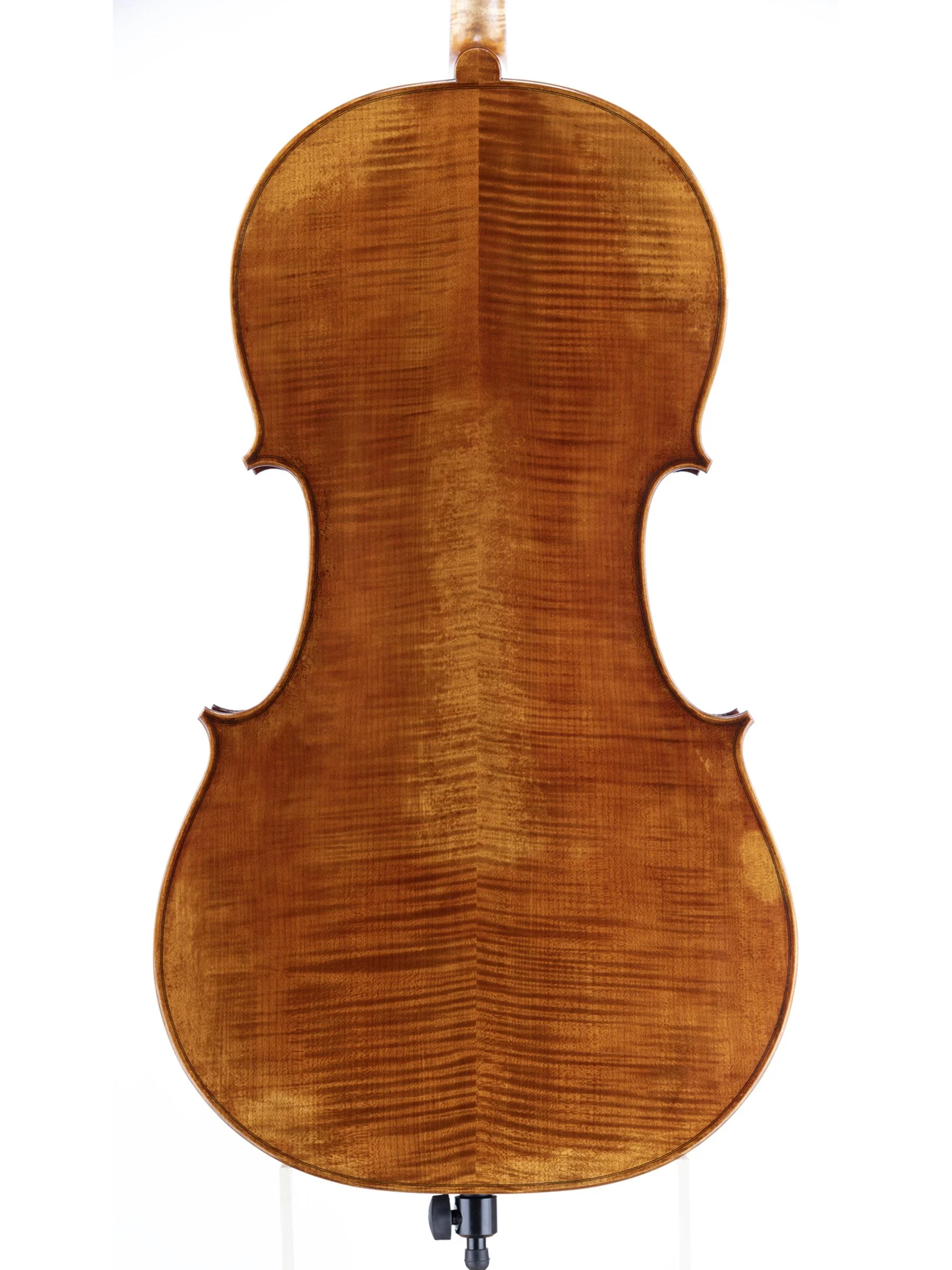 Simona-Cello__back.jpg