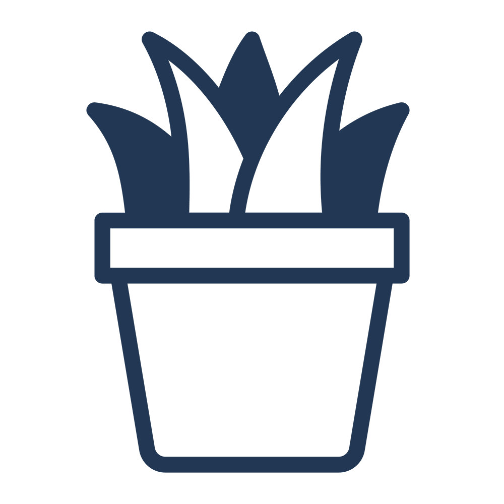 Resiliant plant in pot