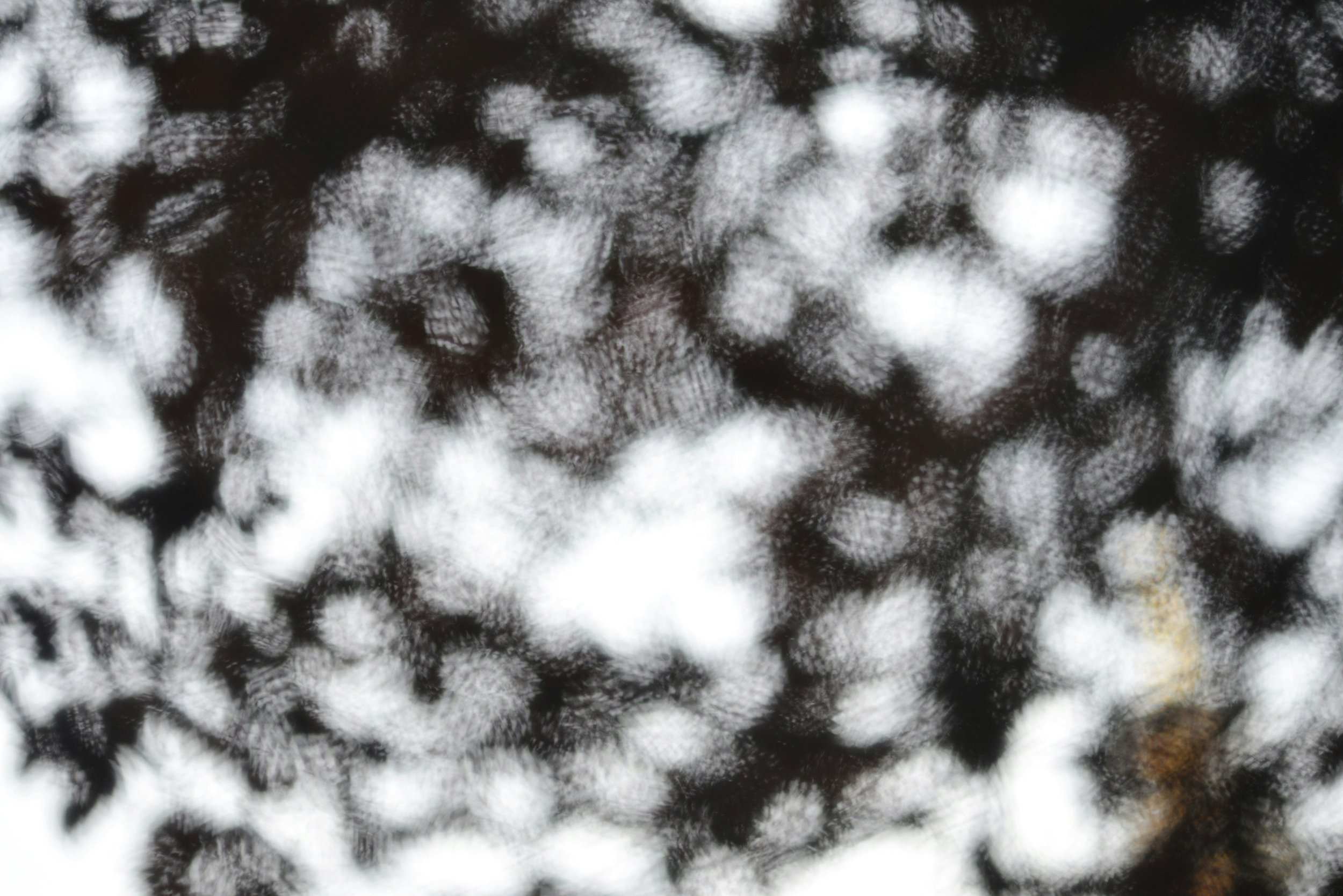 Community Education with Counseling Associates