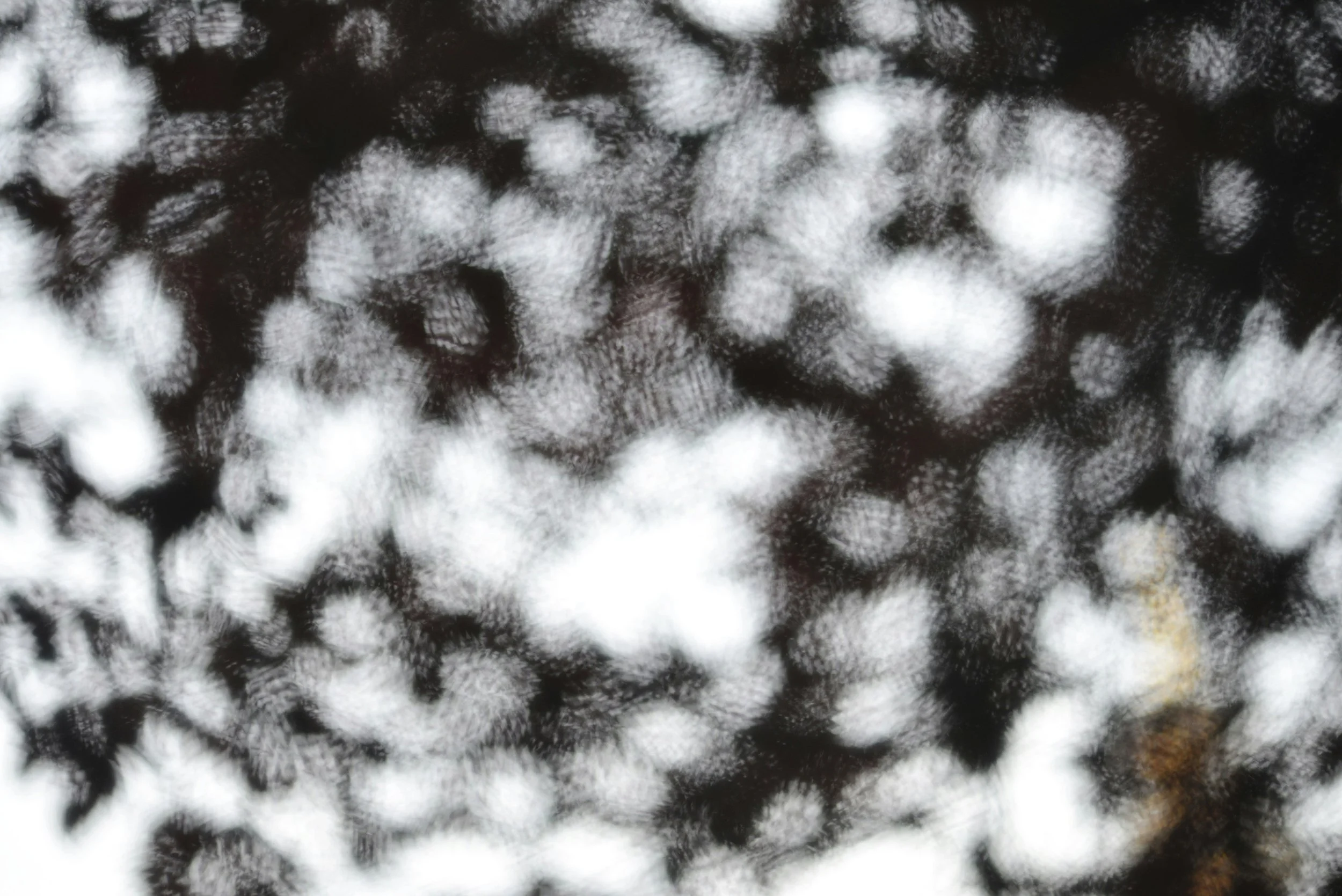 Community Education with Counseling Associates