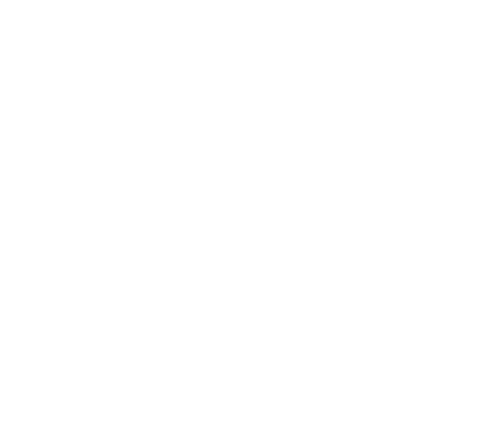 AVARIS Group