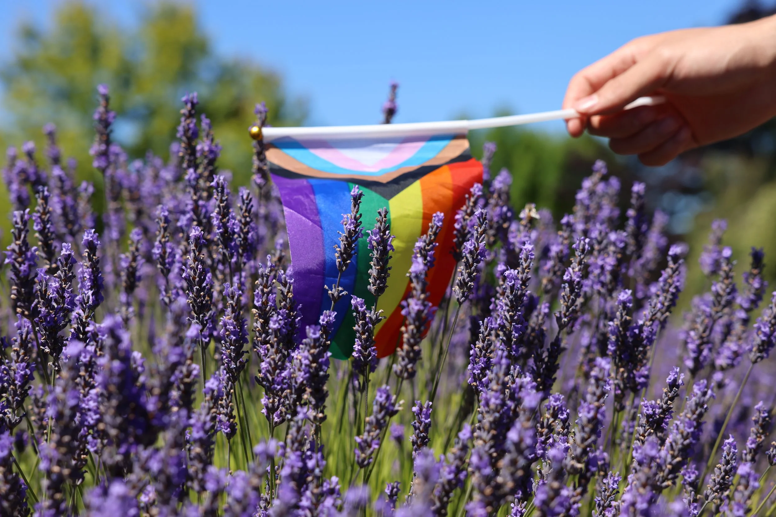 LGBTQ+ Community
