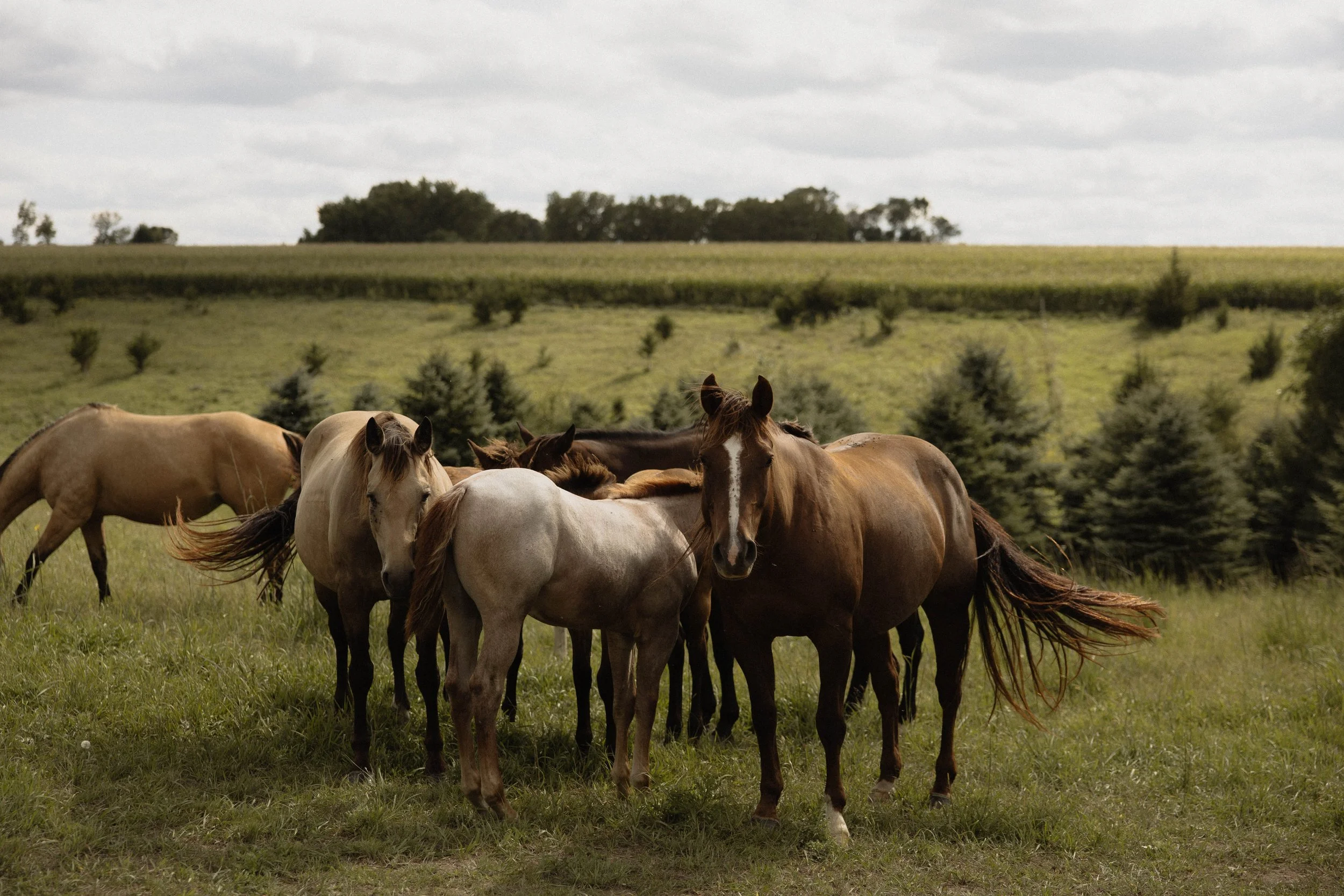 georgia abigail photo-319.jpg