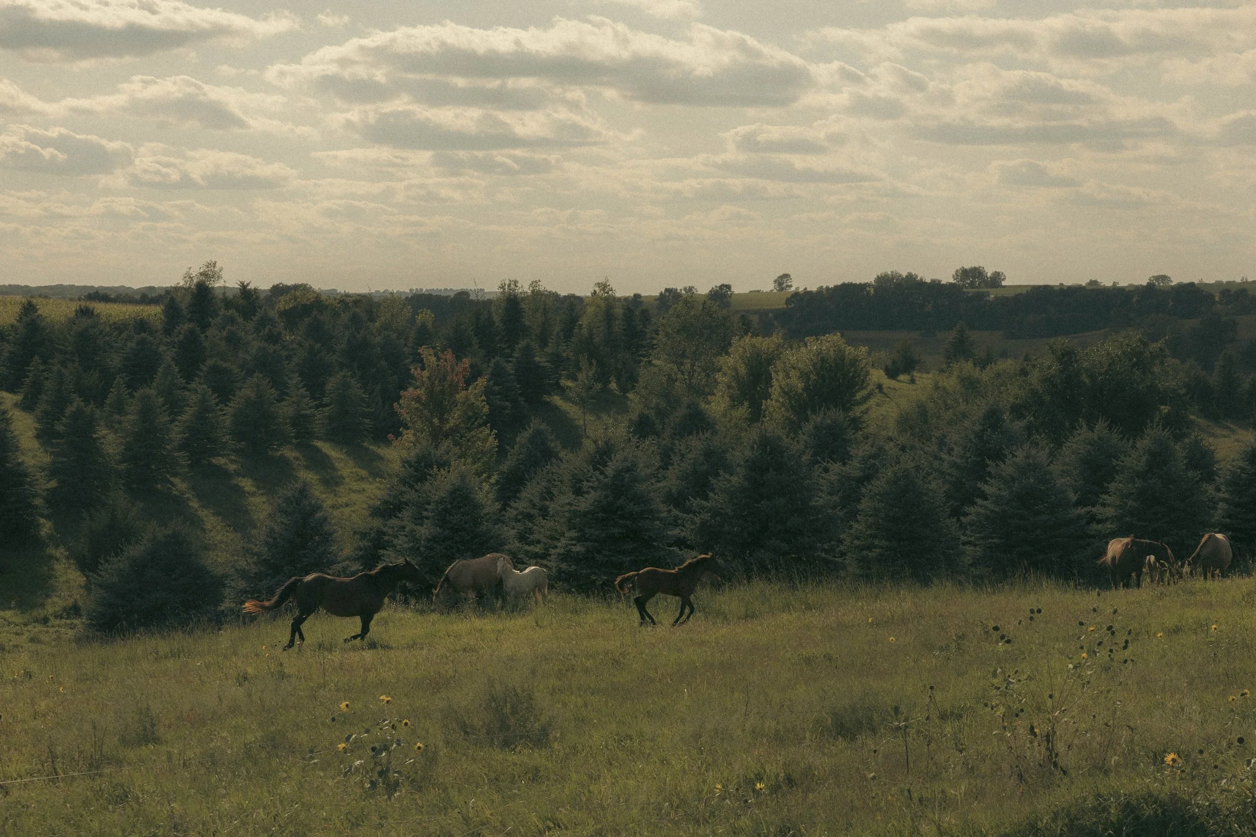 georgia abigail photo-344.jpg