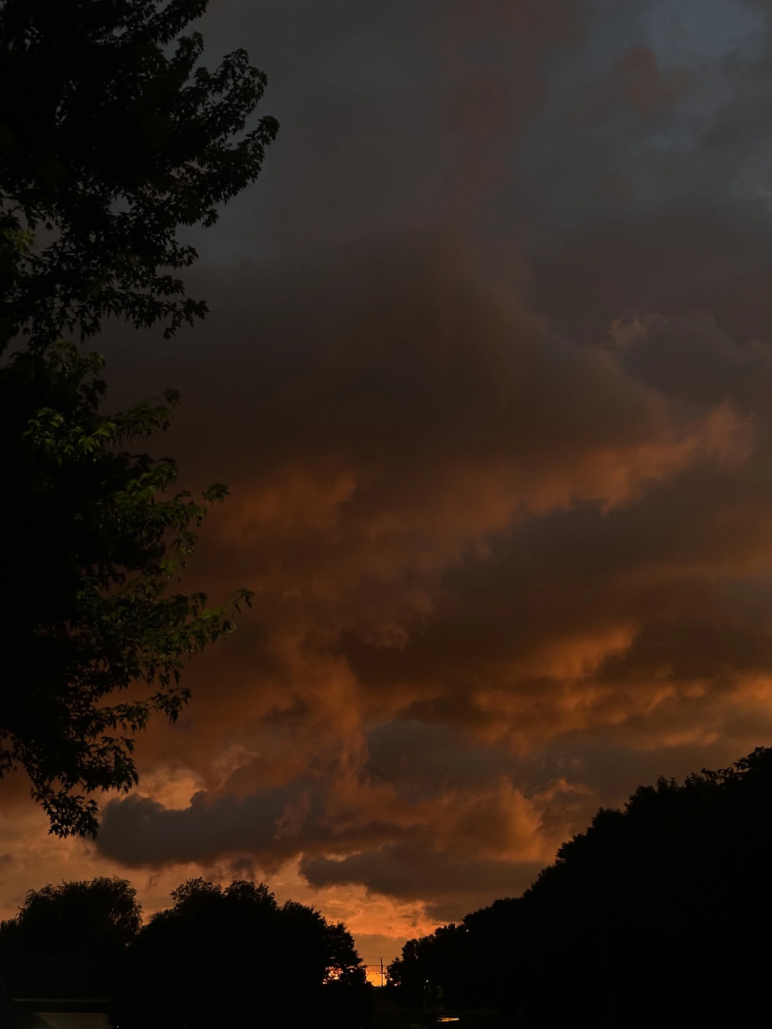 IMG_3333.jpeg