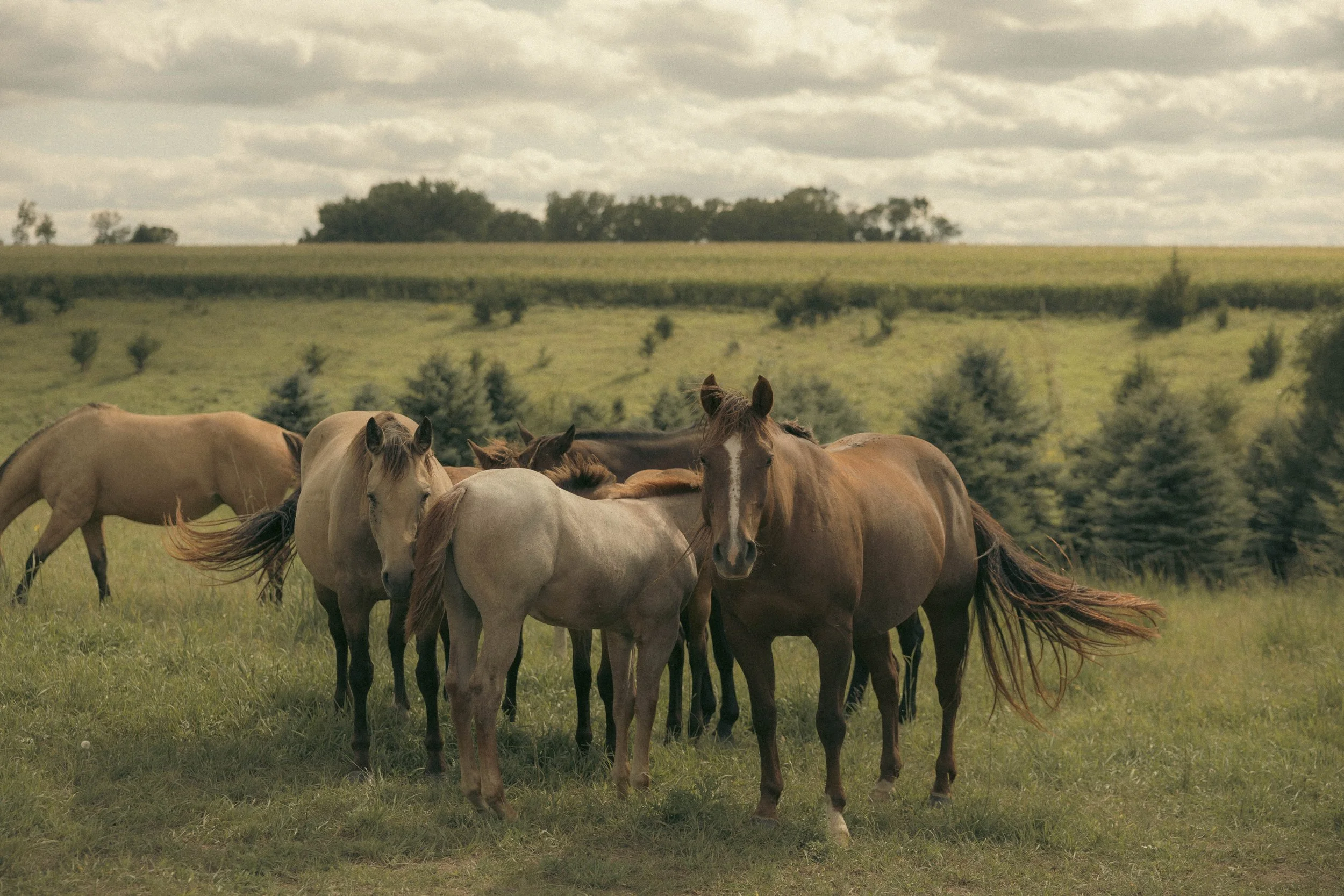 georgia abigail photo-322.jpg