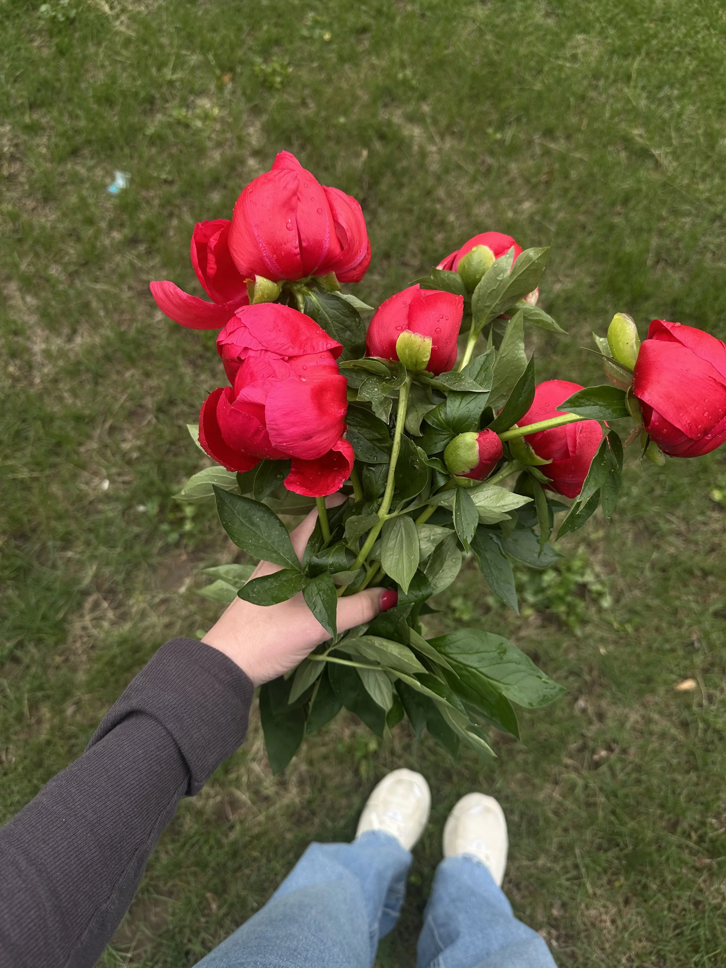 IMG_1568.jpeg