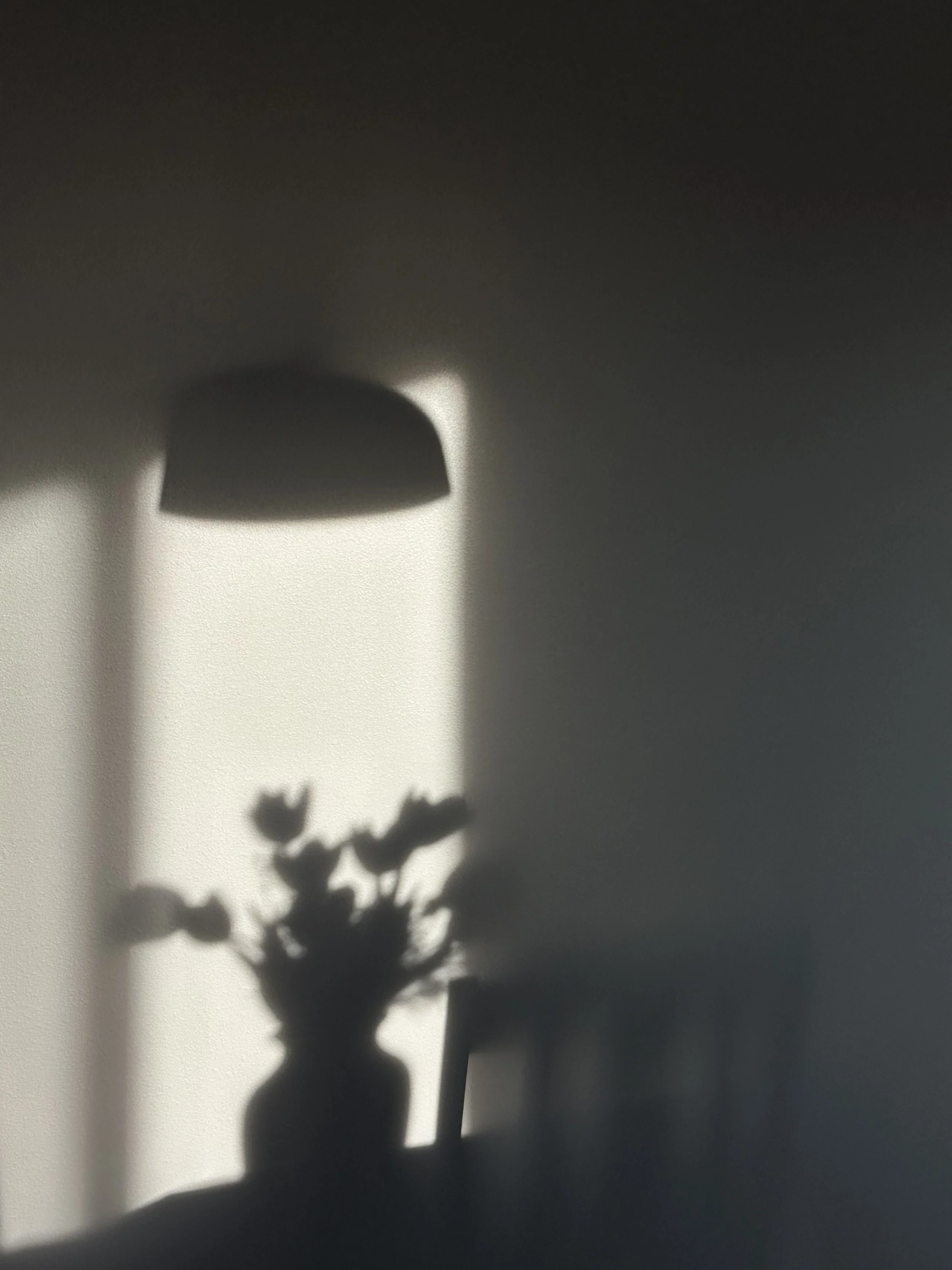 IMG_0003.jpeg