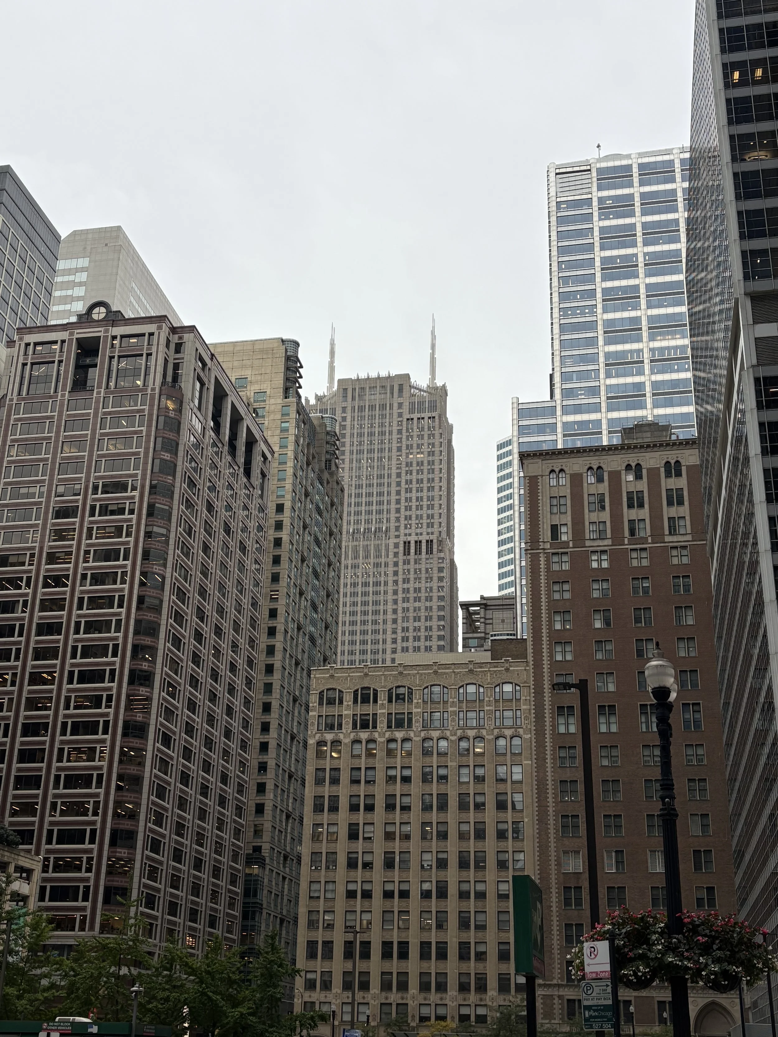 IMG_6613.jpeg