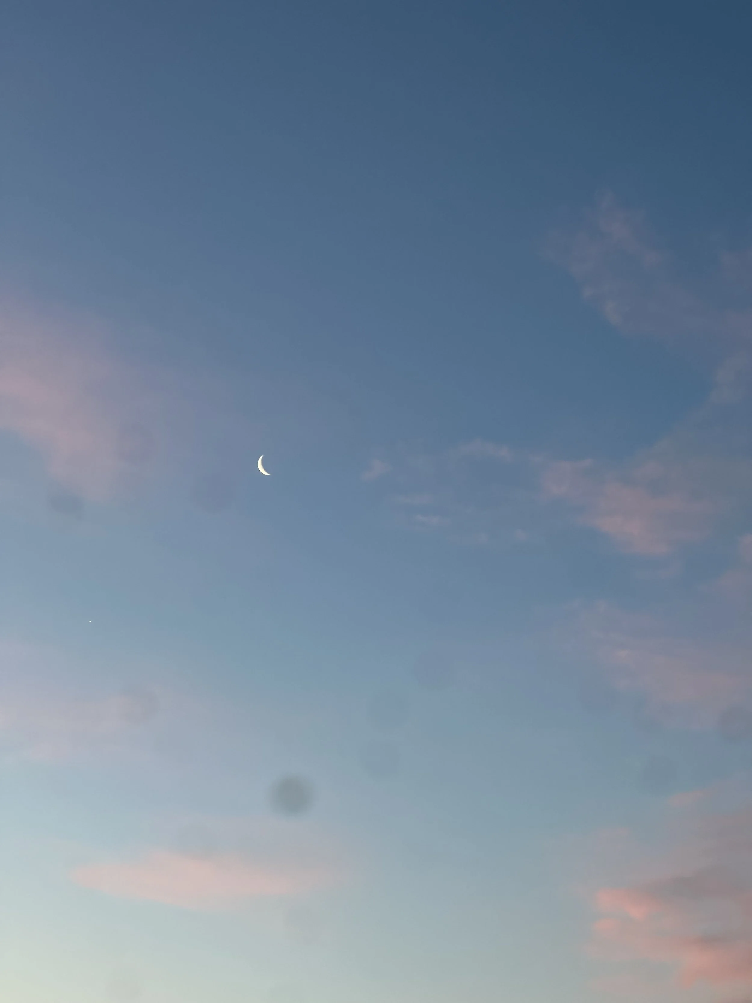 IMG_1518.jpeg