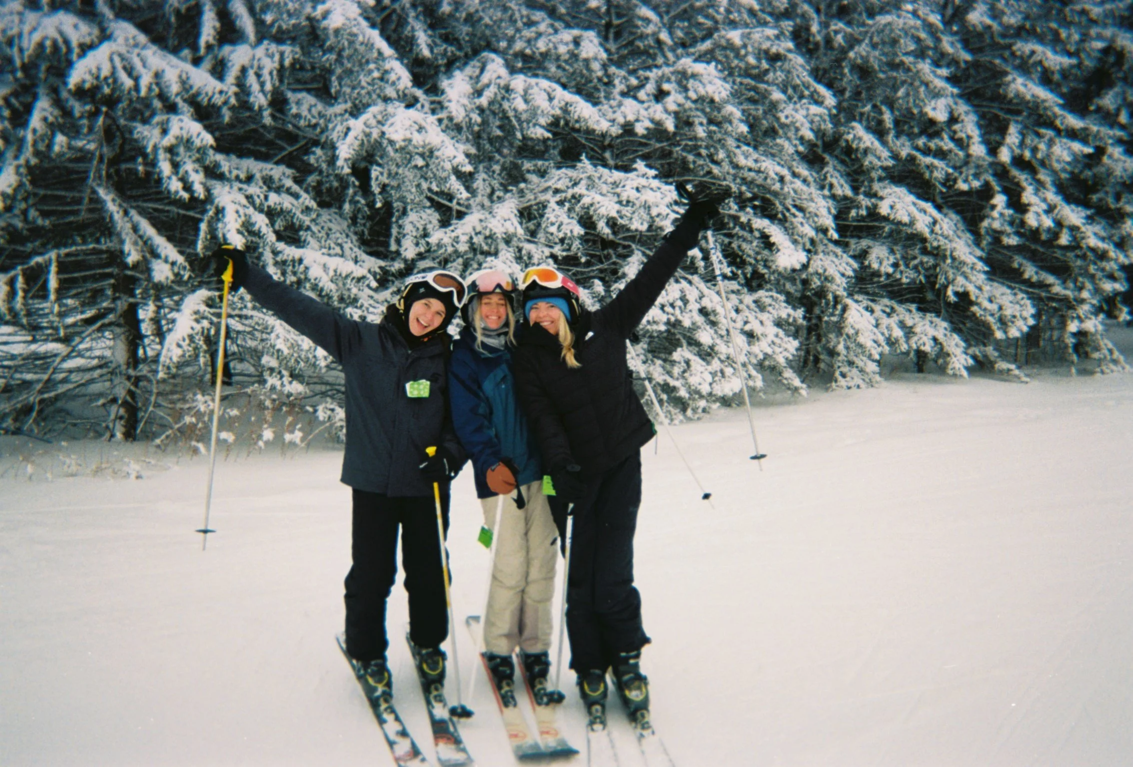 A425519_017A.jpeg
