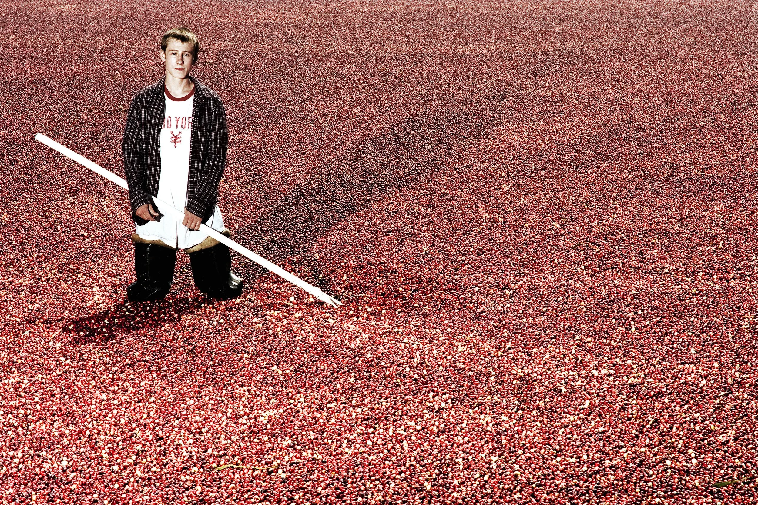 westgate bogs portfolio© sean cronan.jpg