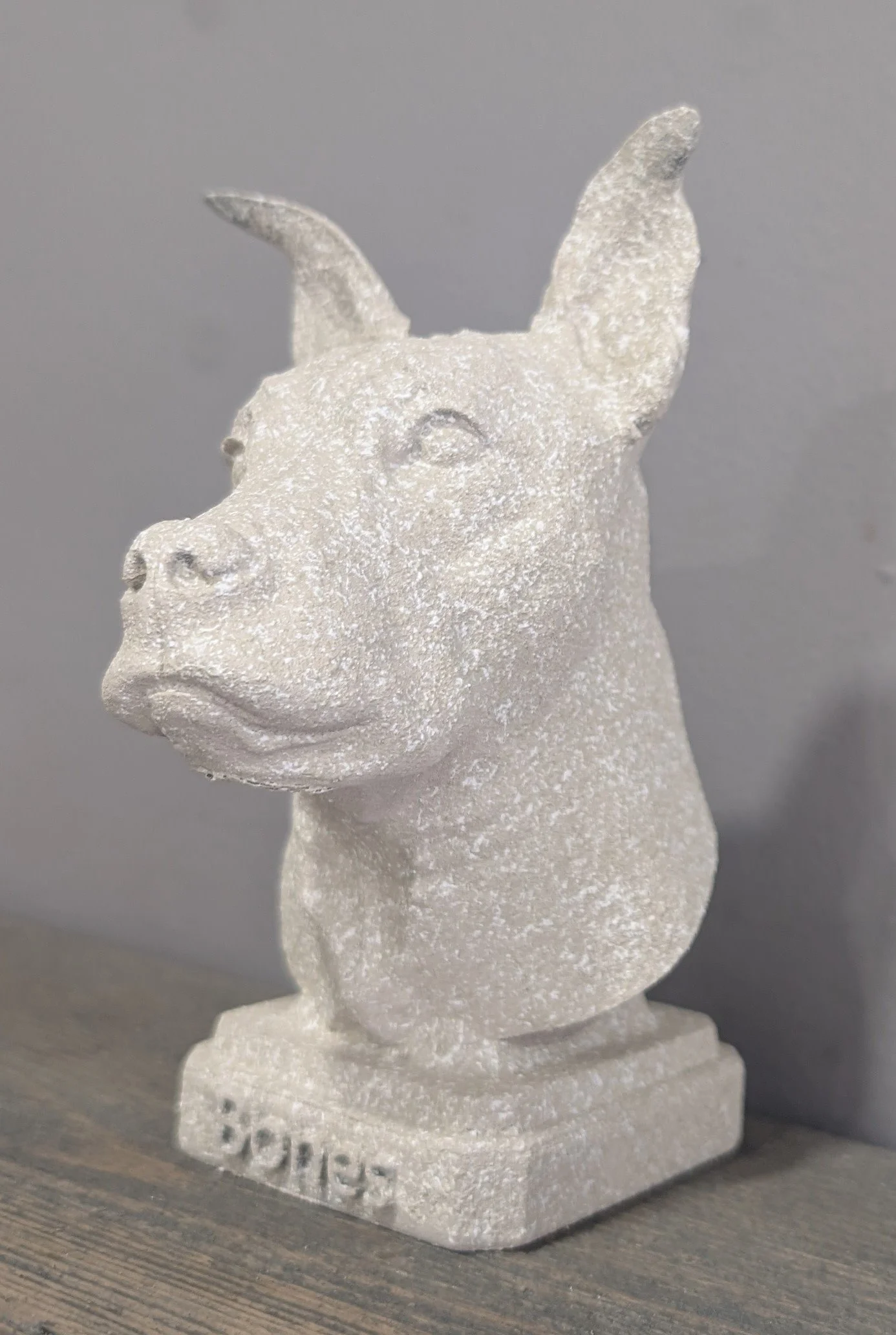 A decorative sculpture of a American staffy  head with a textured, light-colored surface, mounted on a rectangular base with the word 'Bones' inscribed on it.