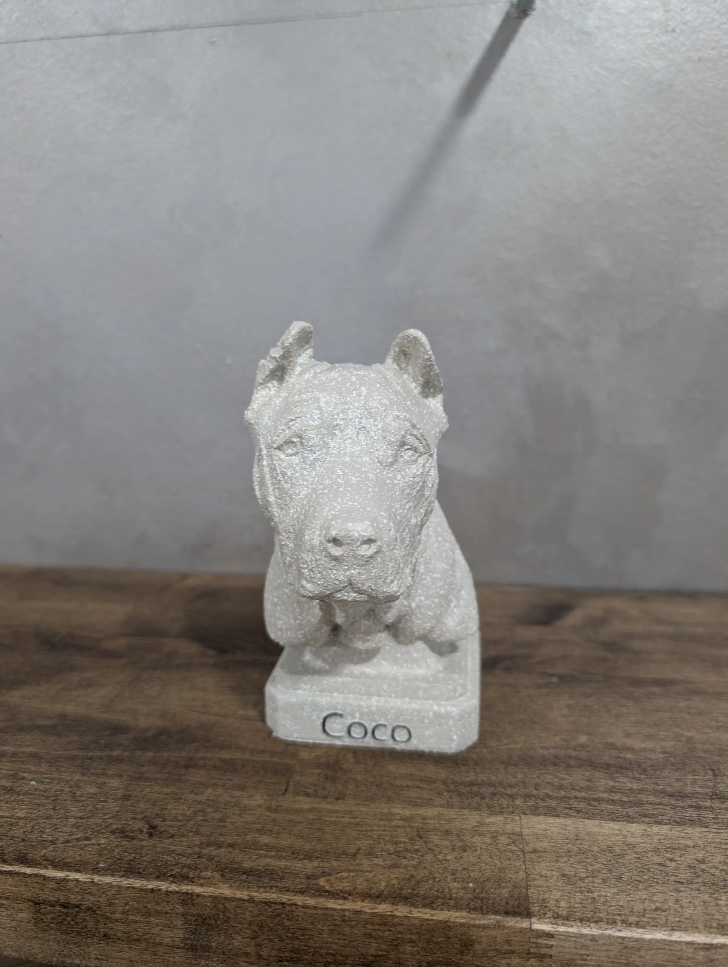 A white stone bust sculpture of a dog, labeled 'Coco', placed on a wooden surface against a plain wall.