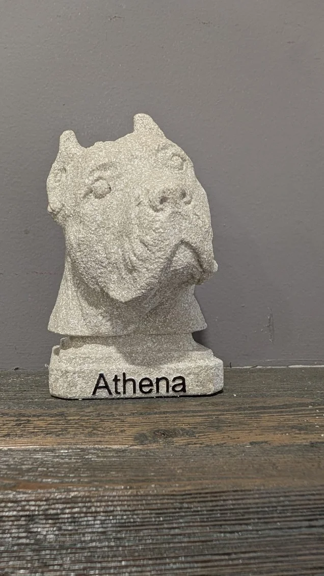 Granite sculpture of a dog's head with the name 'Athena' on the base, placed on a wooden surface against a gray wall.