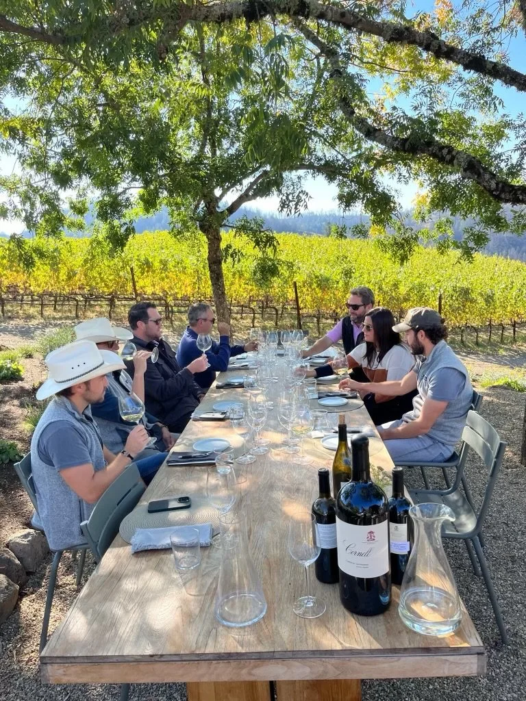 The Healthy Way to Do Napa: Spring Biking and Thoughtful Wine Experiences