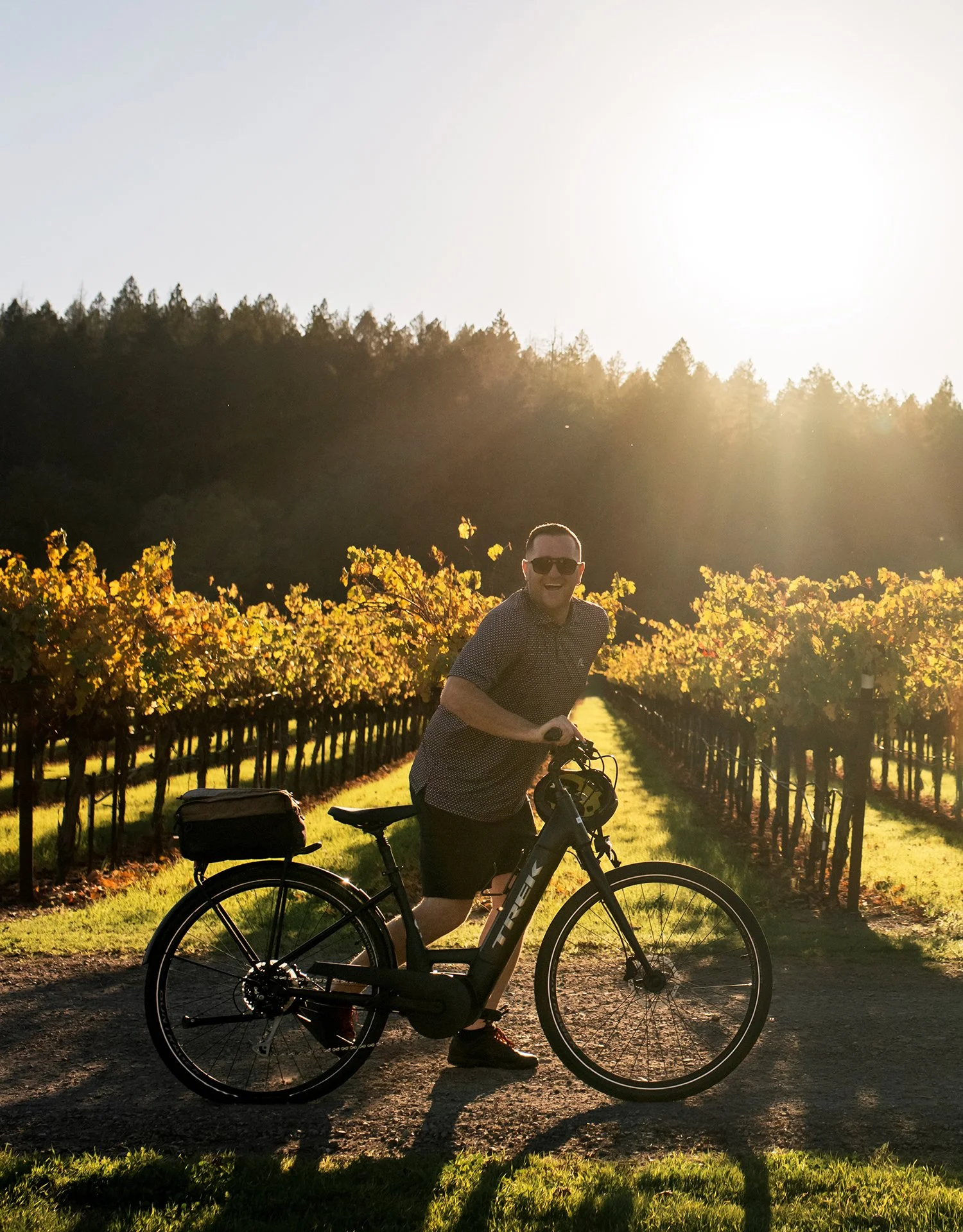 napa valley cycling tours